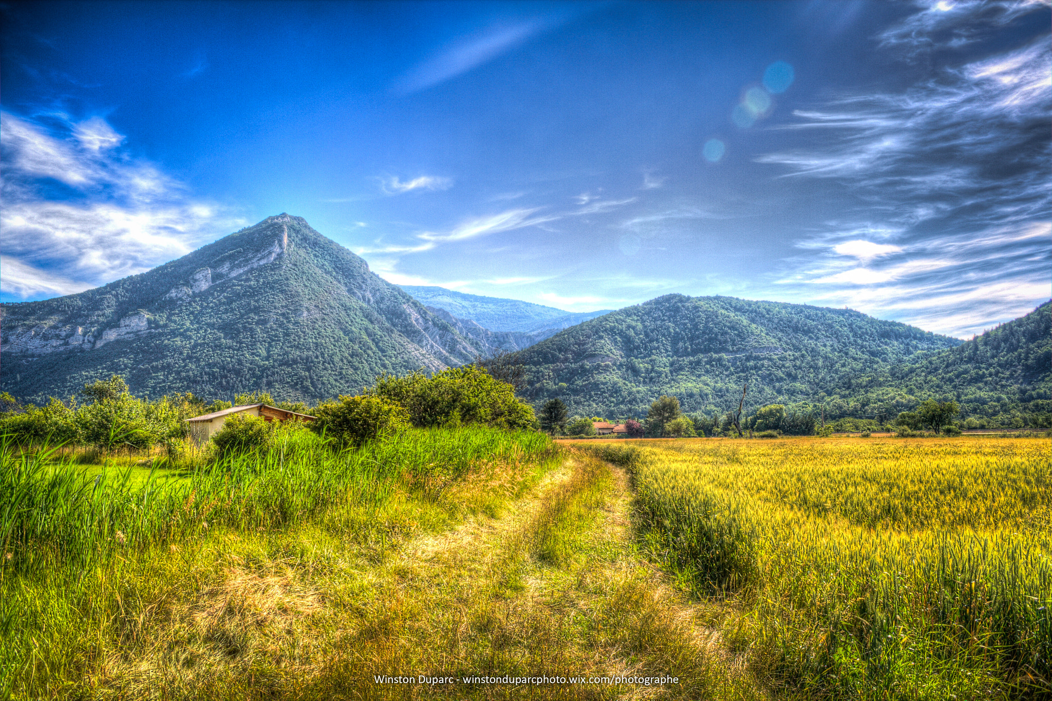 Sigma 18-50mm f/3.5-5.6 DC sample photo. My surrealism photography