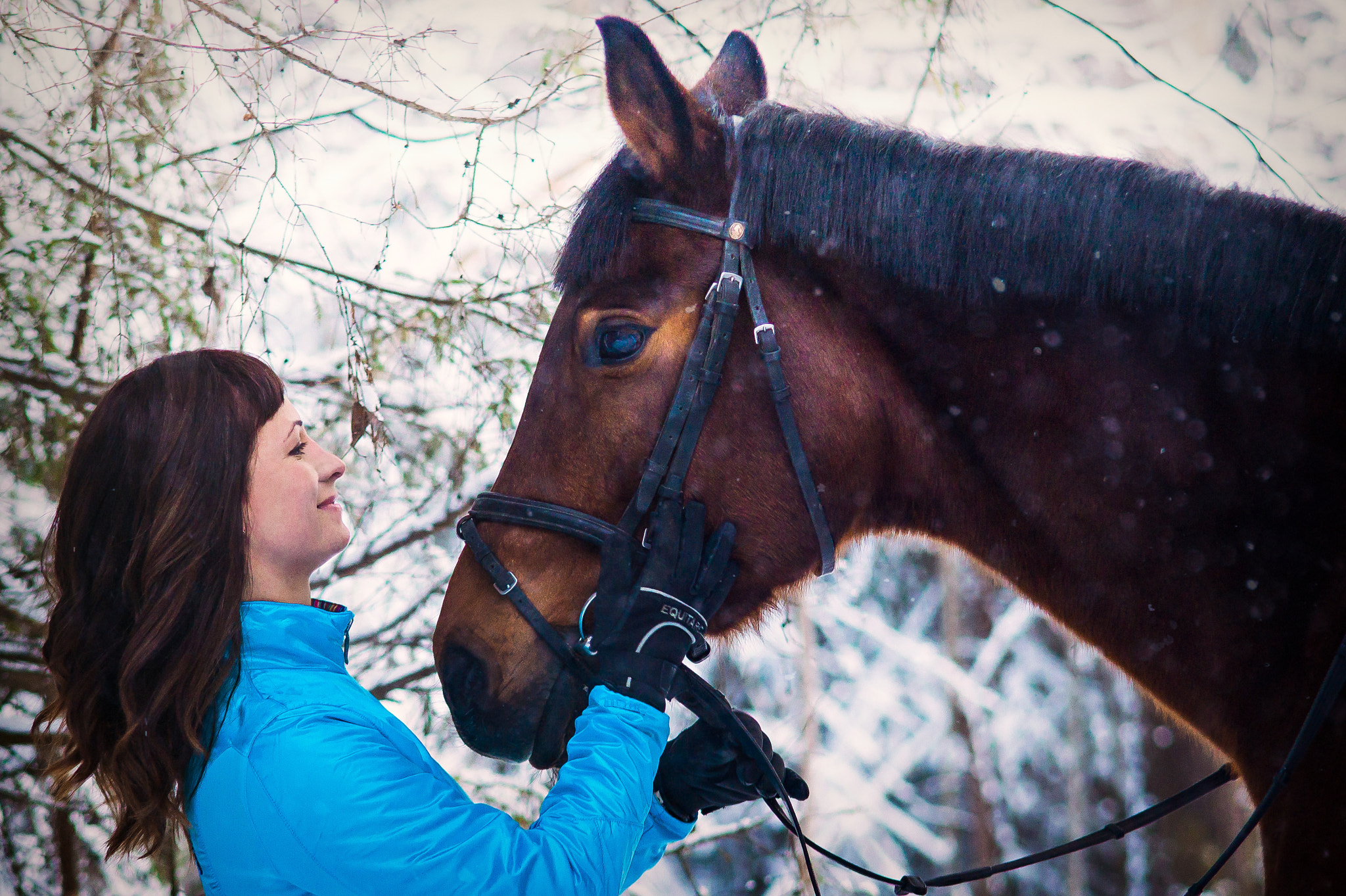 50-150mm F2.8 sample photo. Winter forest i photography