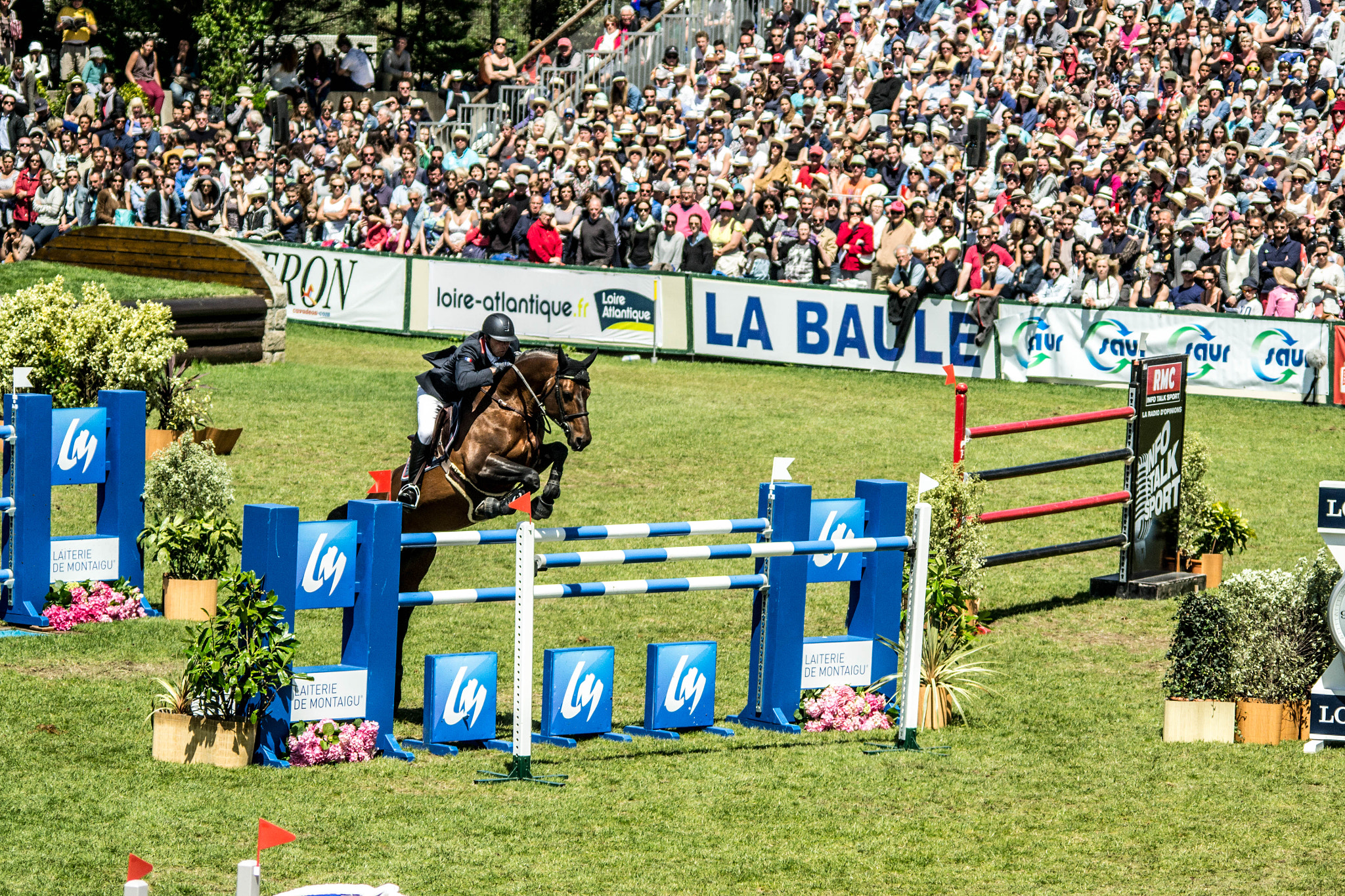 Sigma 150-500mm F5-6.3 DG OS HSM sample photo. La baule photography