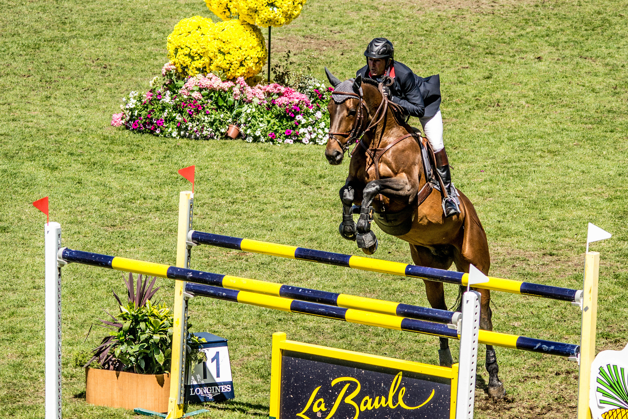 Sigma 150-500mm F5-6.3 DG OS HSM sample photo. La baule photography