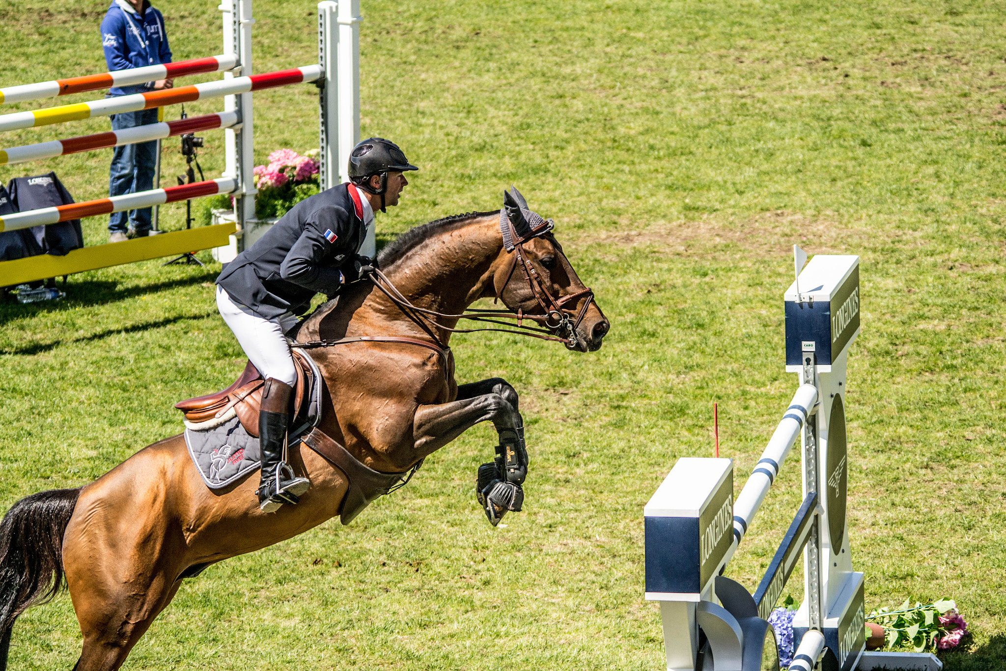 Sigma 150-500mm F5-6.3 DG OS HSM sample photo. La baule photography