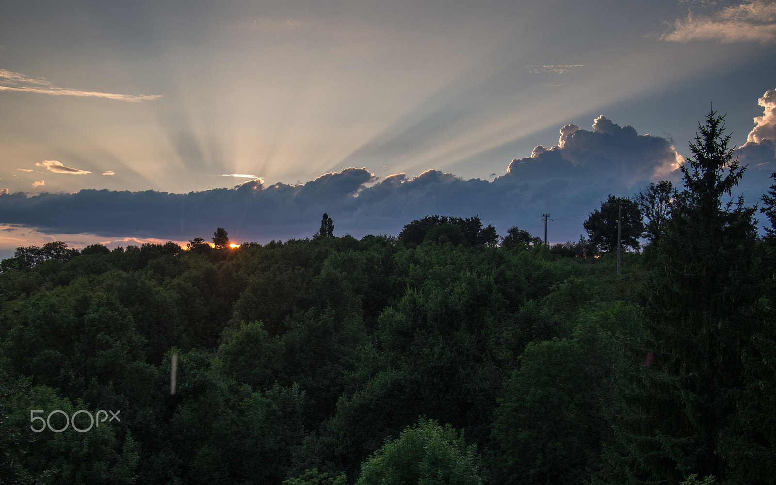 Olympus PEN E-PL5 + Panasonic Lumix G 20mm F1.7 ASPH sample photo. Rayons de soleil photography