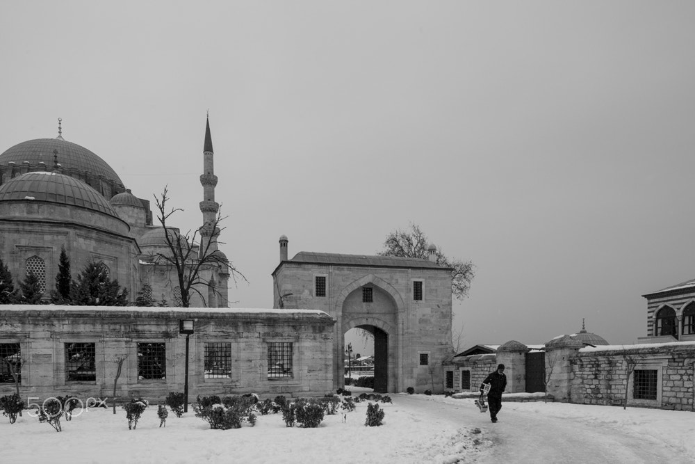 Nikon PC-E Nikkor 24mm F3.5D ED Tilt-Shift sample photo. Suleymaniye photography