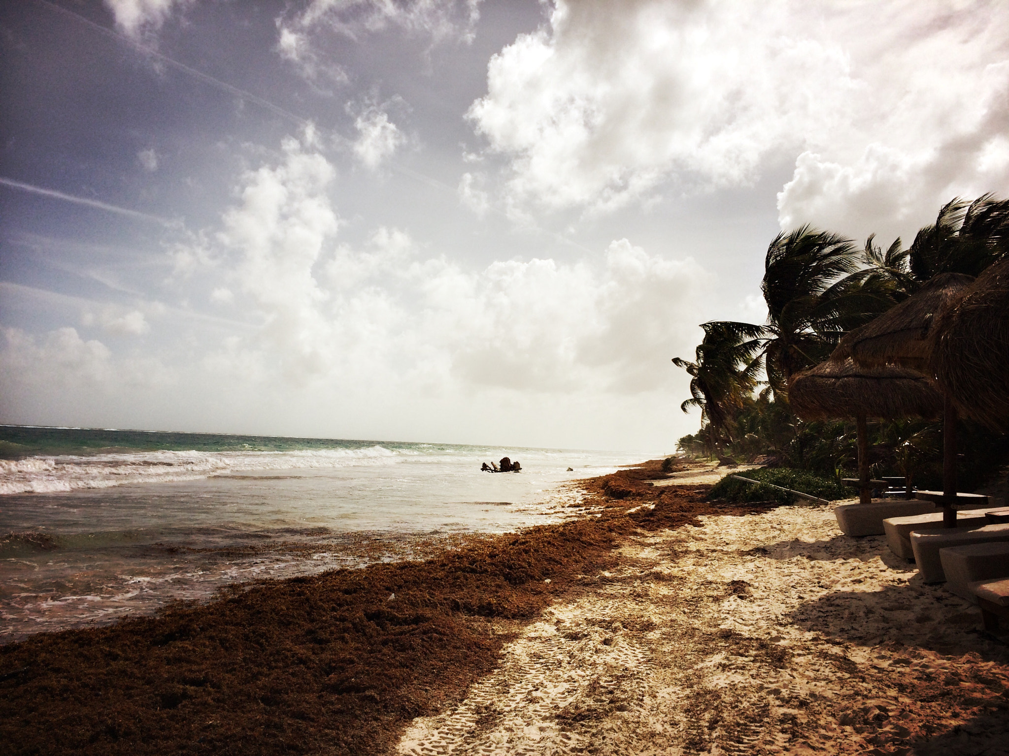 Hipstamatic 305 sample photo. Tulum, mexico photography