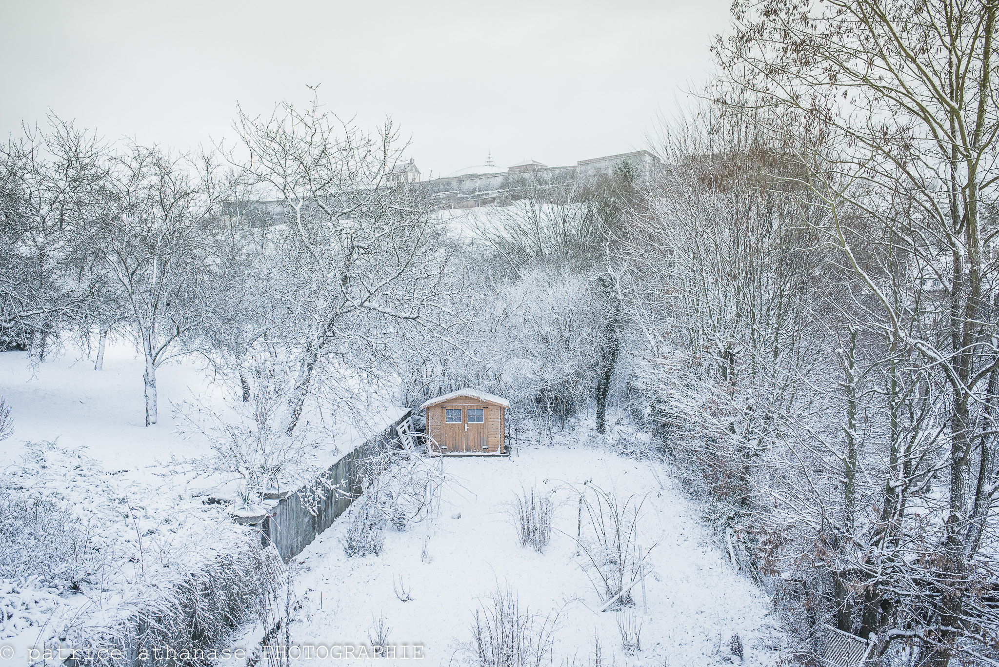 Nikon D610 + AF-S Nikkor 35mm f/1.8G sample photo. Winter is coming photography