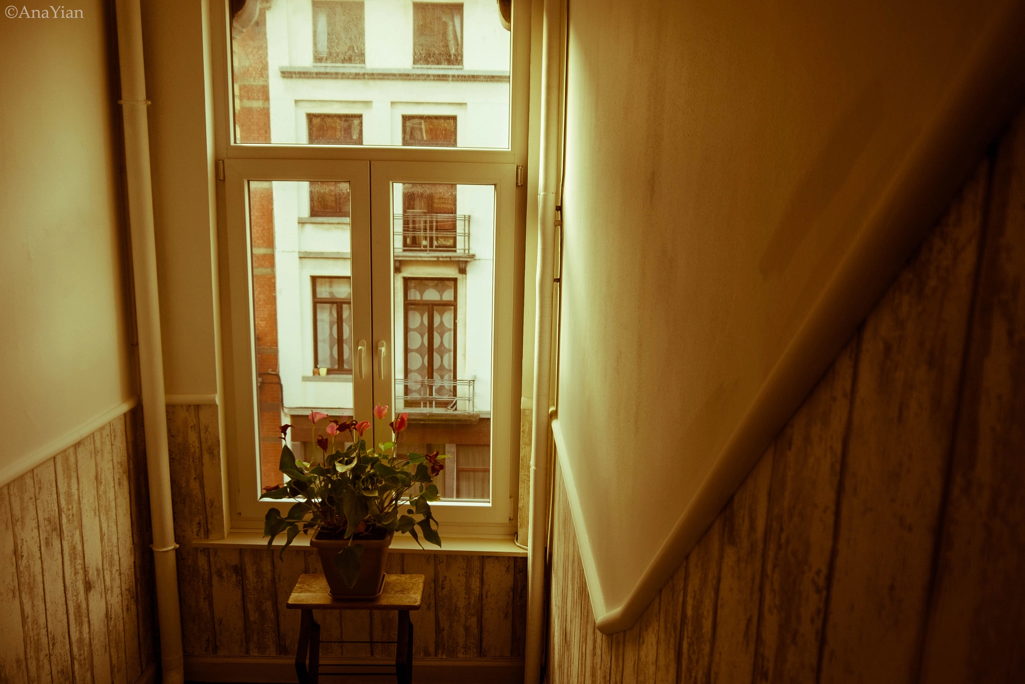 Panasonic Lumix DMC-G10 sample photo. Goodmorning photography