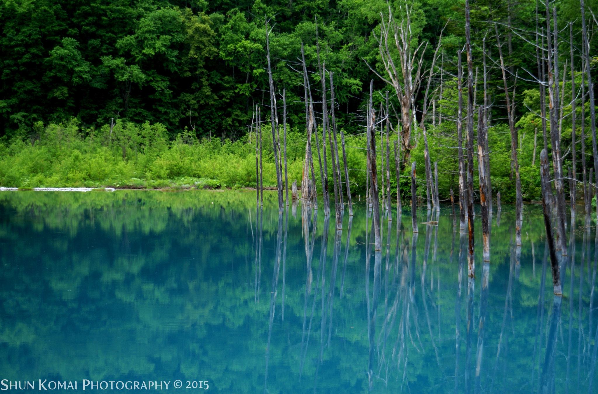 Sony Alpha DSLR-A100 + Tamron 24-135mm F3.5-5.6 sample photo. Blue pond in summer photography