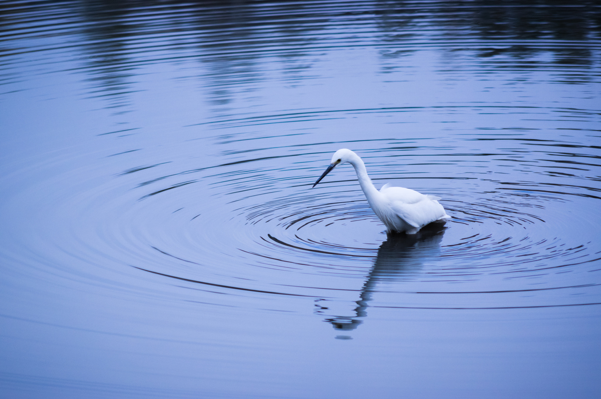 Pentax smc DA 55-300mm F4.0-5.8 ED sample photo. Ripple photography