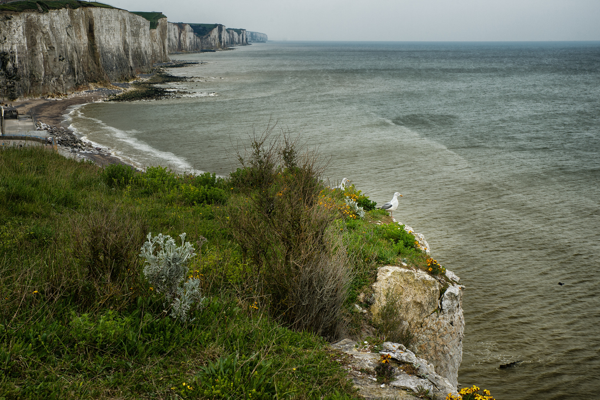 Nikon D4 sample photo. Bewerkt photography