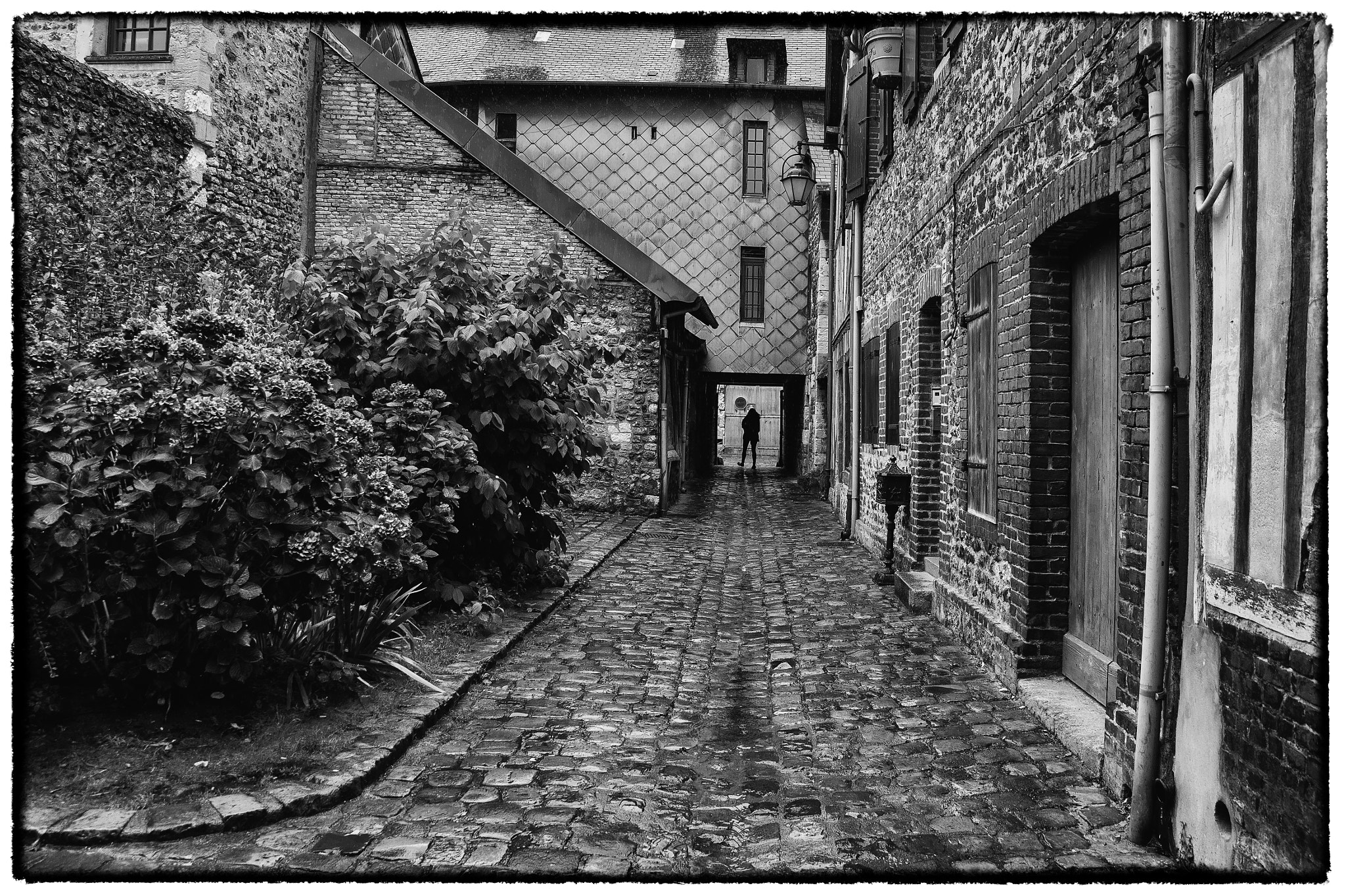 Nikon D4 sample photo. Bewerkt photography