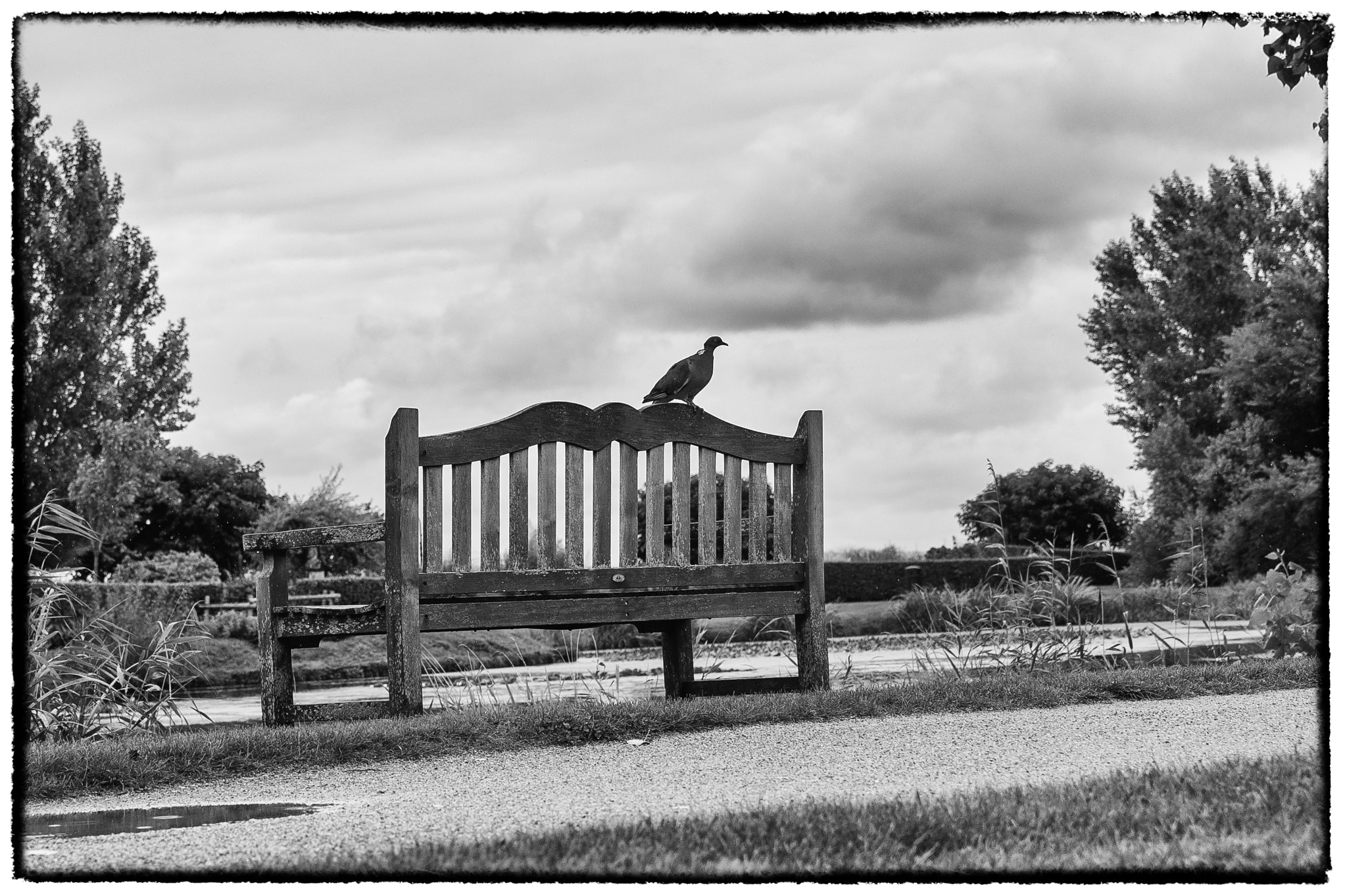 Nikon D4 sample photo. Bewerkt photography