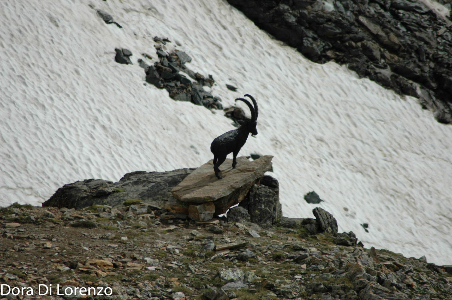Nikon D70s sample photo. Val d'aosta photography