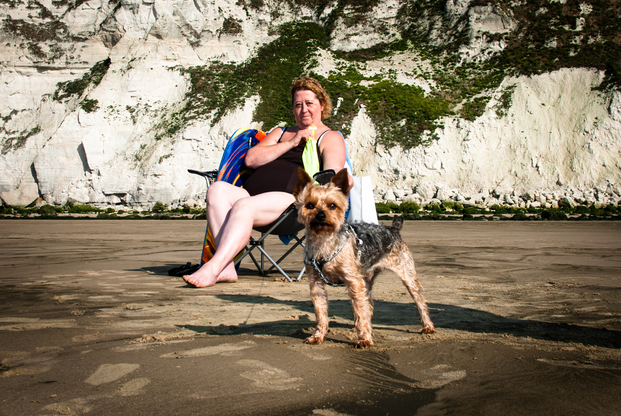 Nikon D200 + Sigma 30mm F1.4 EX DC HSM sample photo. Lifeguard dog photography