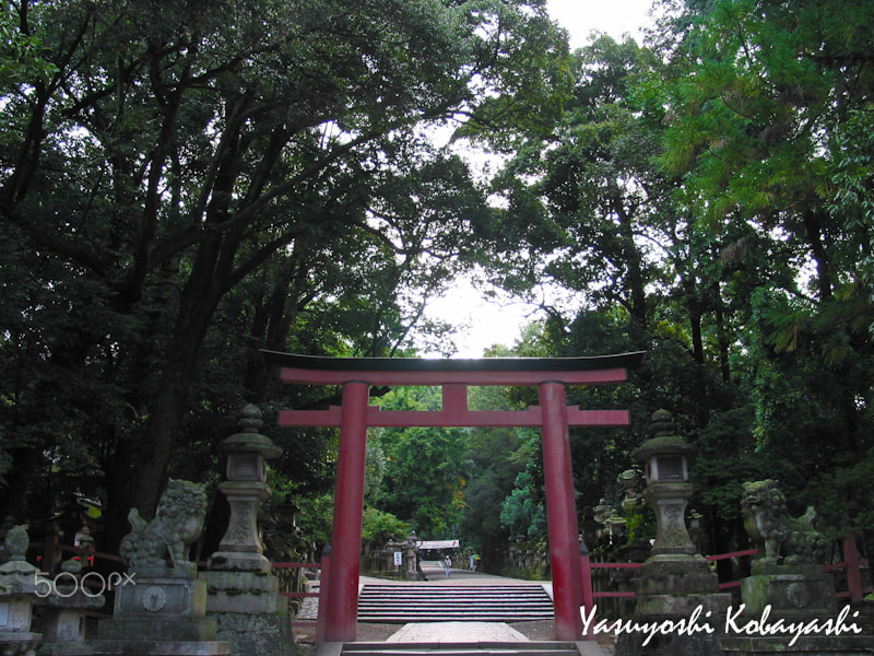 Canon POWERSHOT G2 sample photo. 春日大社　奈良　kasugataisha shinto shrine nara photography