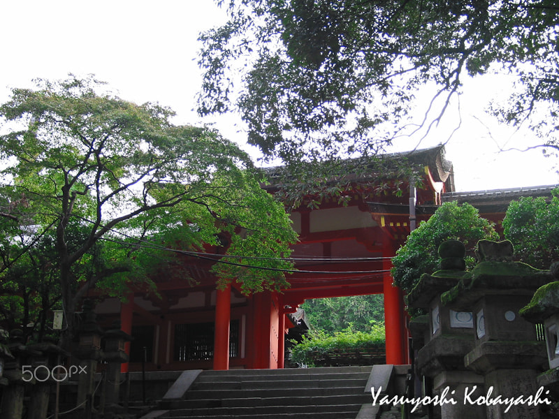 Canon POWERSHOT G2 sample photo. 春日大社　奈良　kasugataisha shinto shrine nara photography