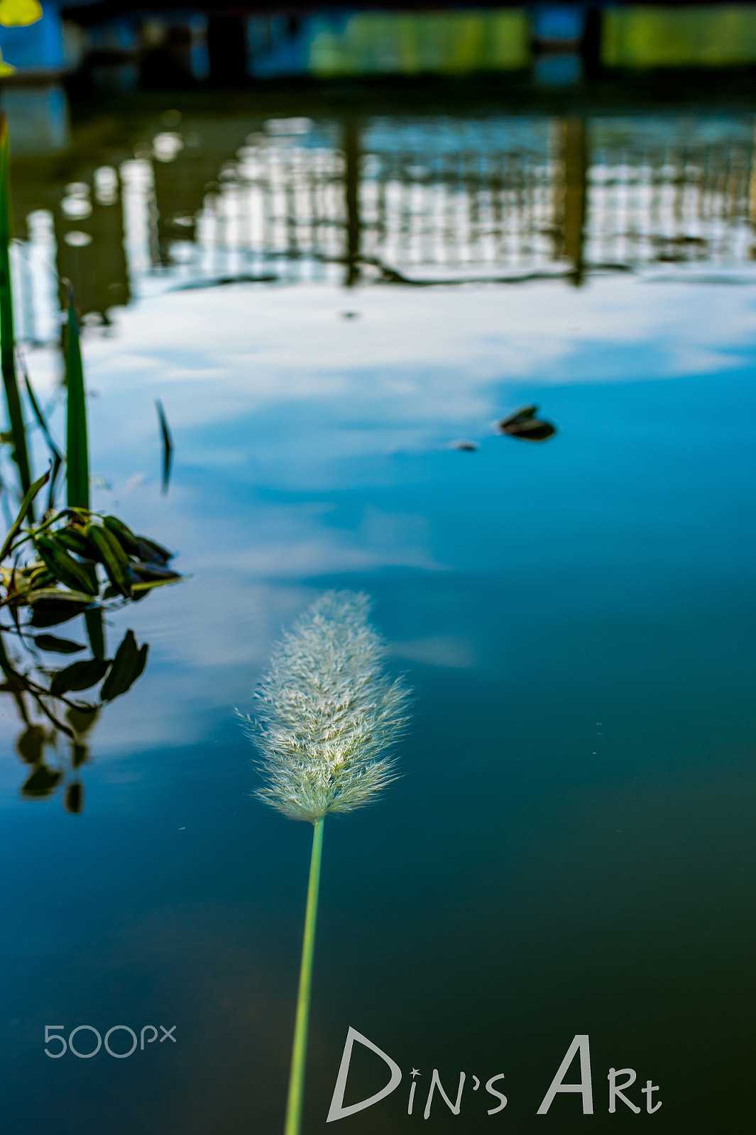 Nikon Df + Sigma 50mm F1.4 DG HSM Art sample photo. 浮 photography