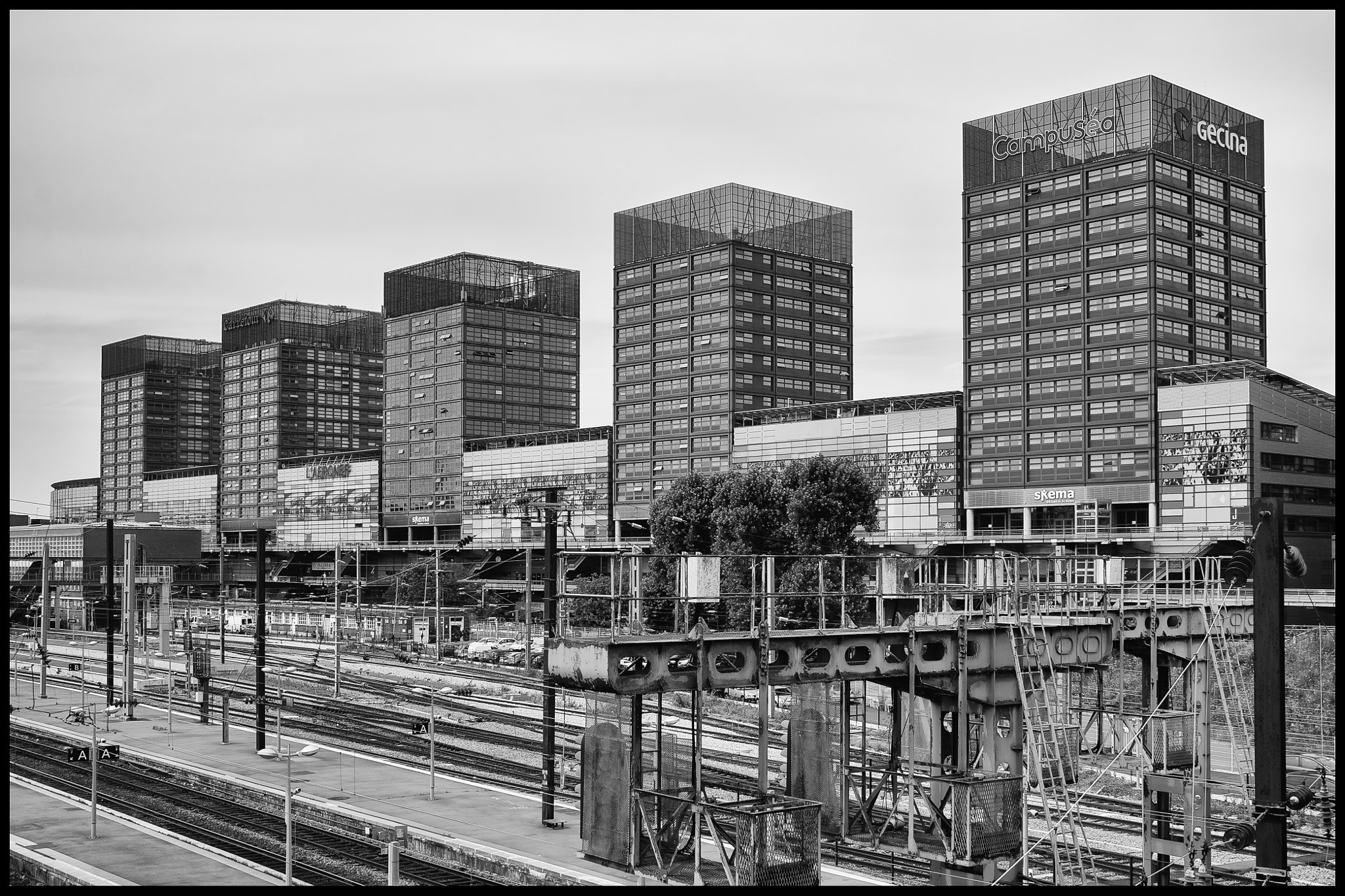 Nikon D4 sample photo. Bewerkt photography