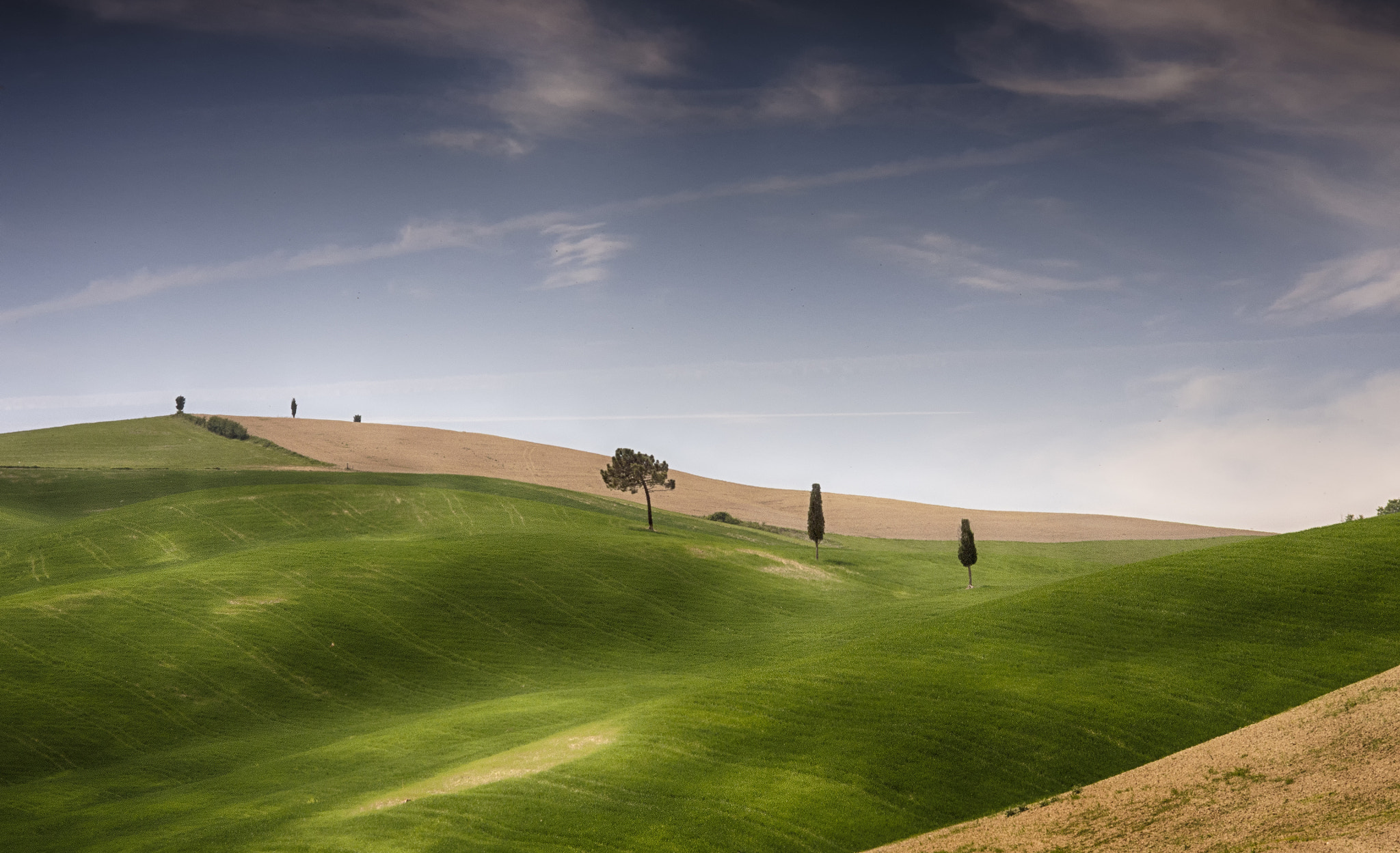 Olympus OM-D E-M5 sample photo. Tuscany photography