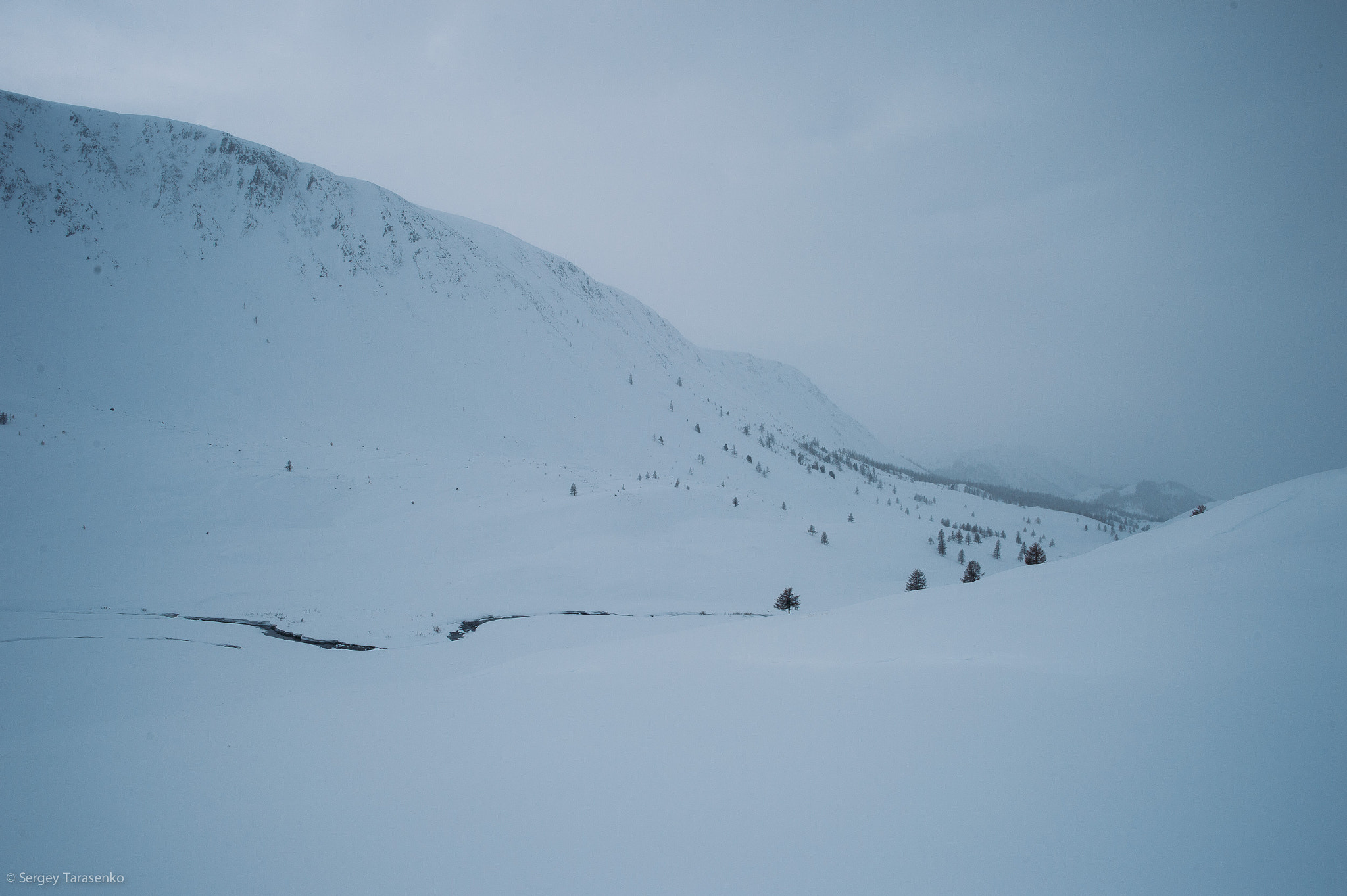 Nikon Df + Nikon AF-S Nikkor 28mm F1.8G sample photo. Snowstorm photography