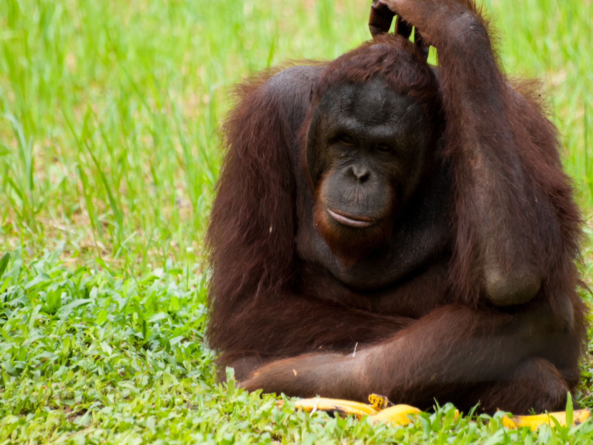 Olympus E-30 sample photo. Mr. thinker photography