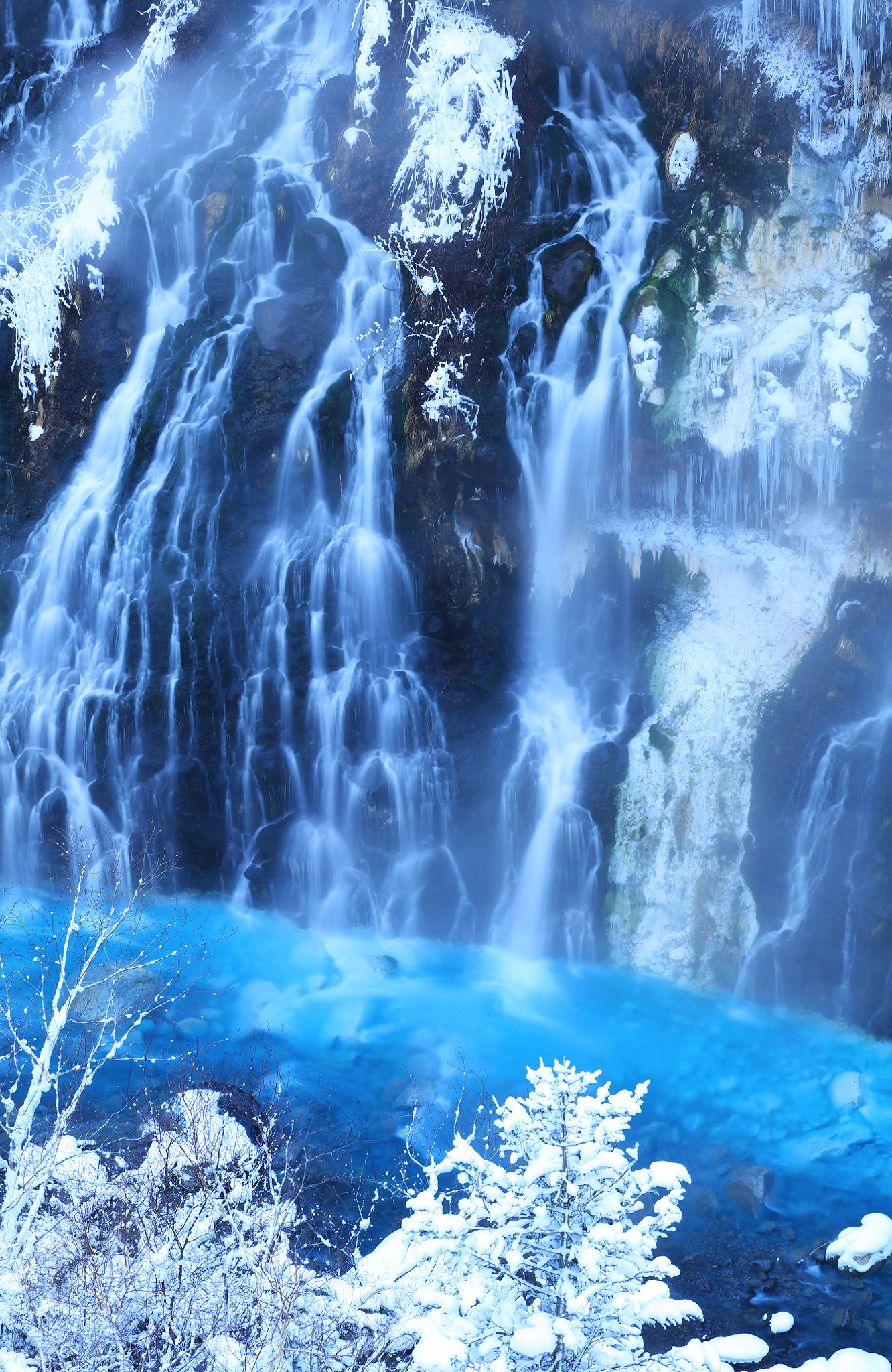 Canon EF 70-300mm F4-5.6L IS USM sample photo. Enchanted garden photography