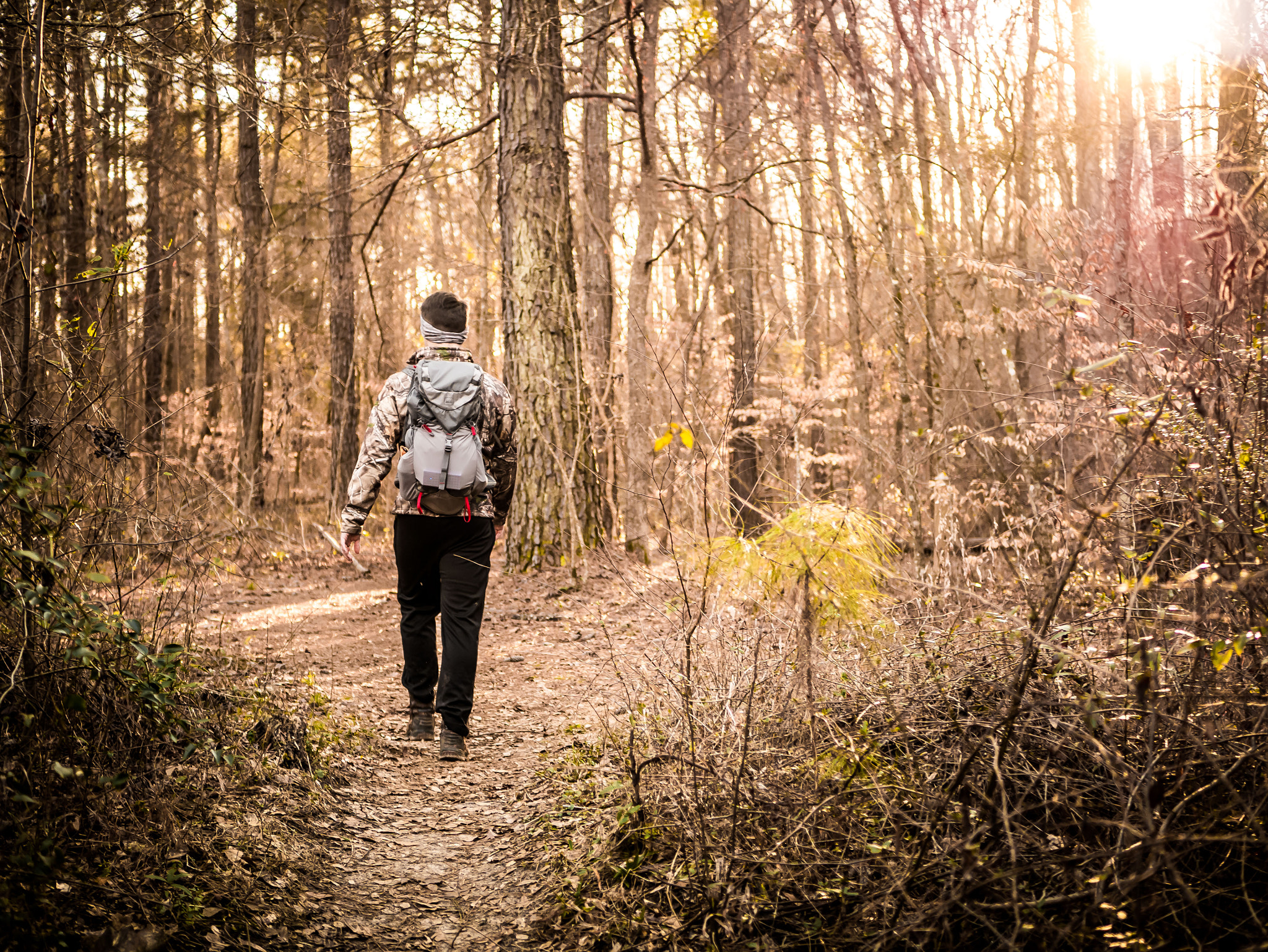 Panasonic Lumix DMC-GX7 + LUMIX G 25/F1.7 sample photo. A hike with my best friend photography