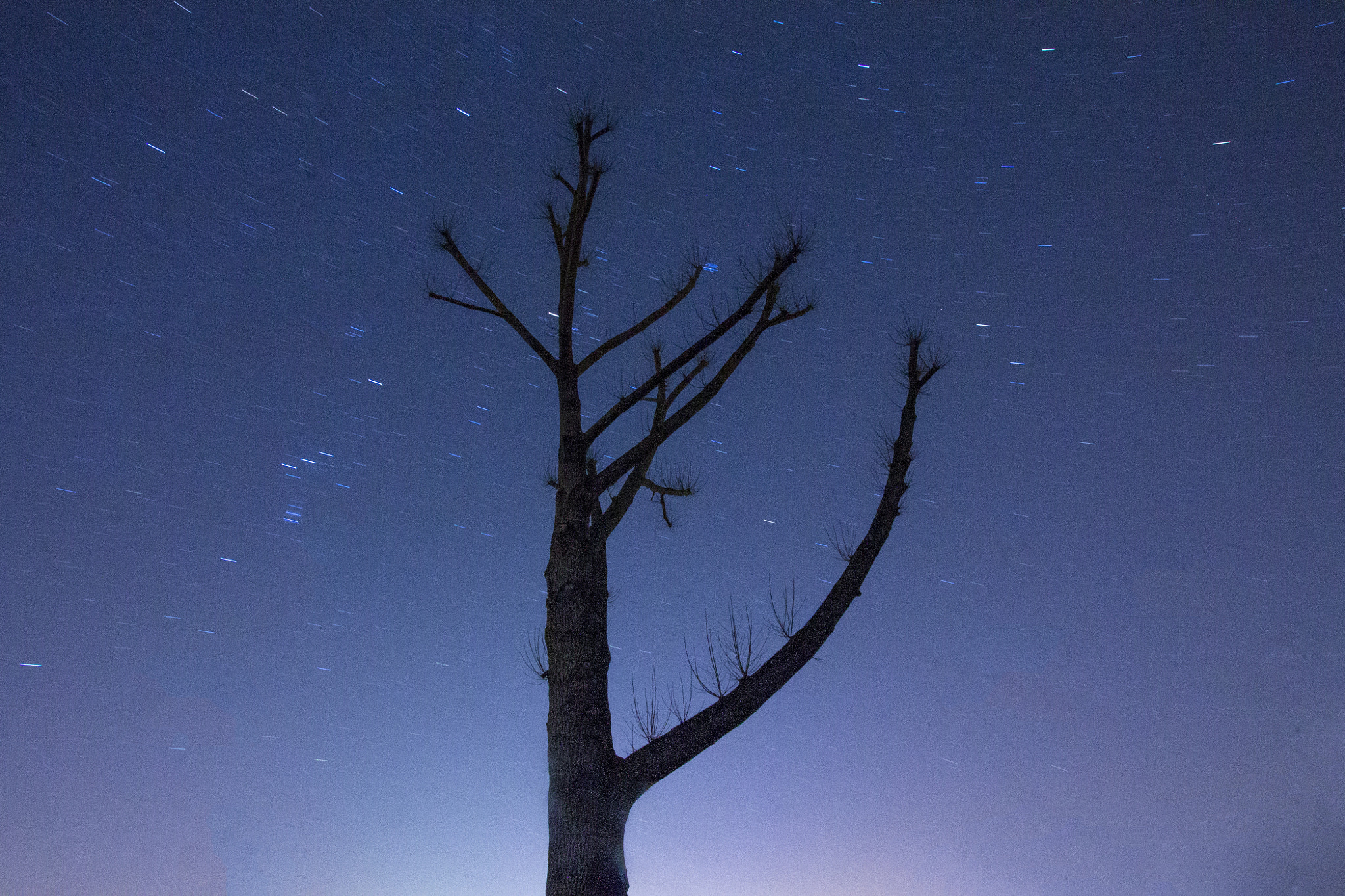 Canon EF-S 10-22mm F3.5-4.5 USM sample photo. 3tps photography
