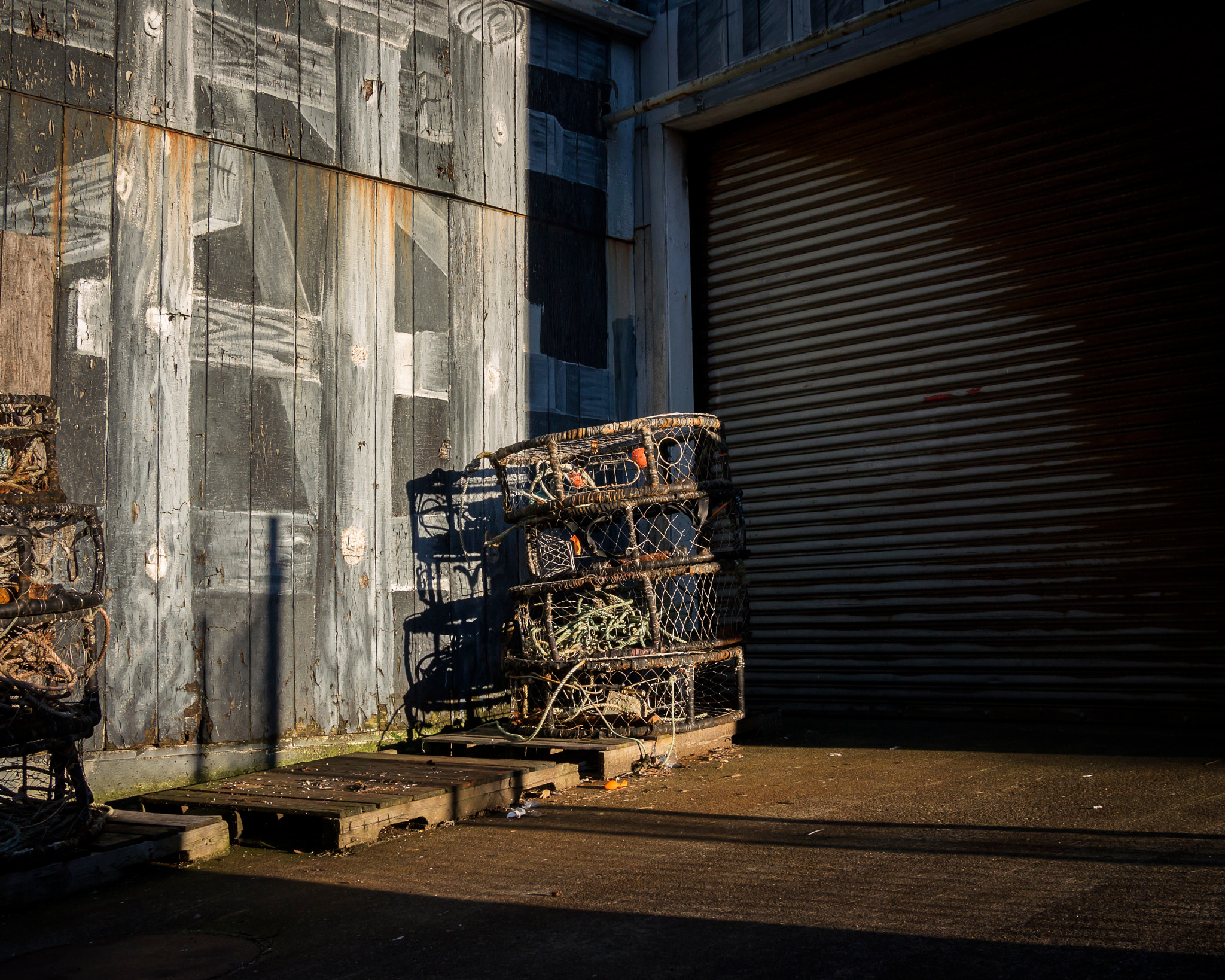 Olympus PEN E-PL3 + Panasonic Lumix G 20mm F1.7 ASPH sample photo. Newport crab nets photography