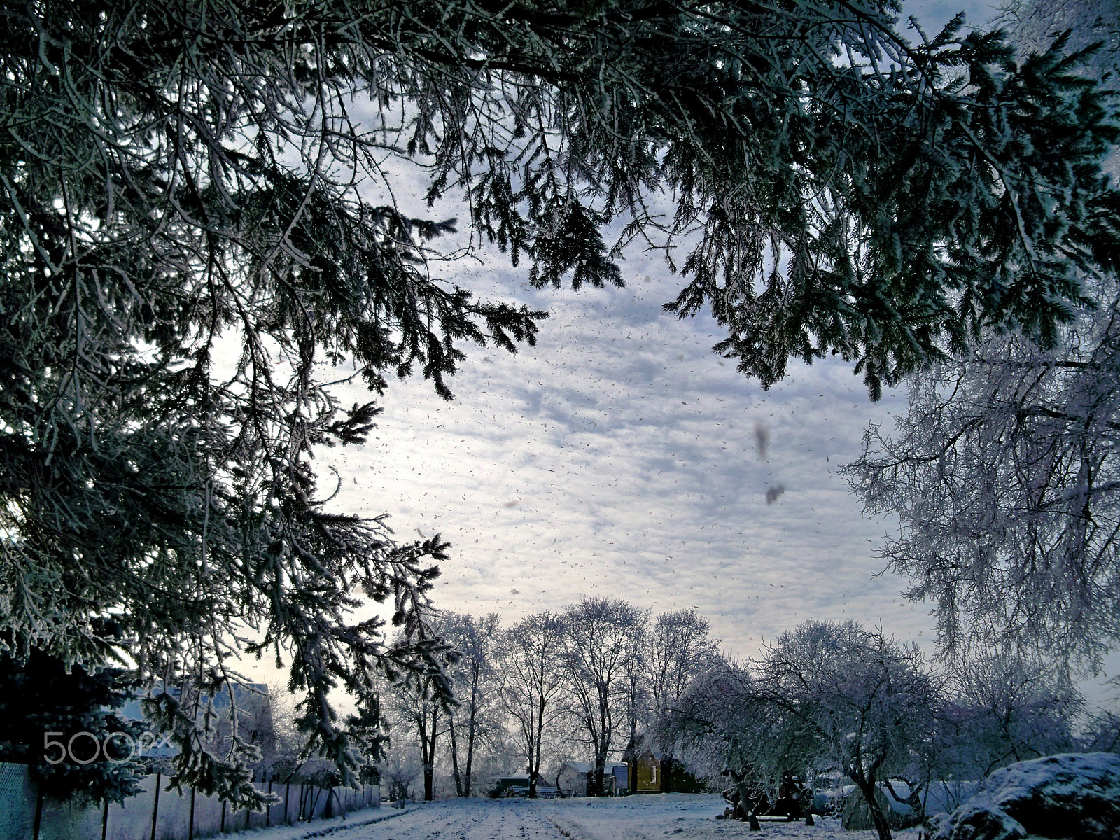 Kodak EASYSHARE Z950 DIGITAL CAMERA sample photo. Winter is coming photography