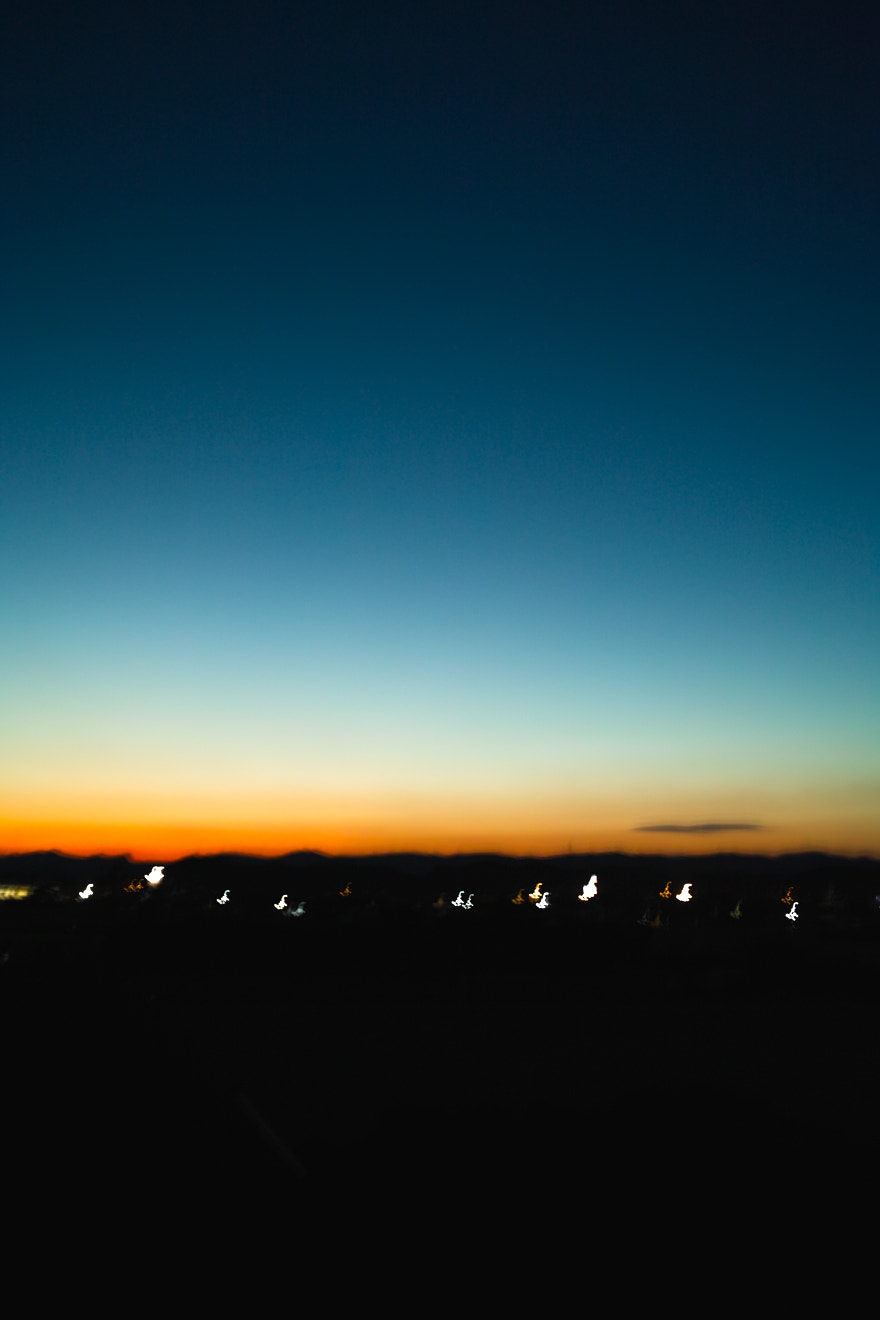 Sigma DP2x sample photo. Magic hour photography