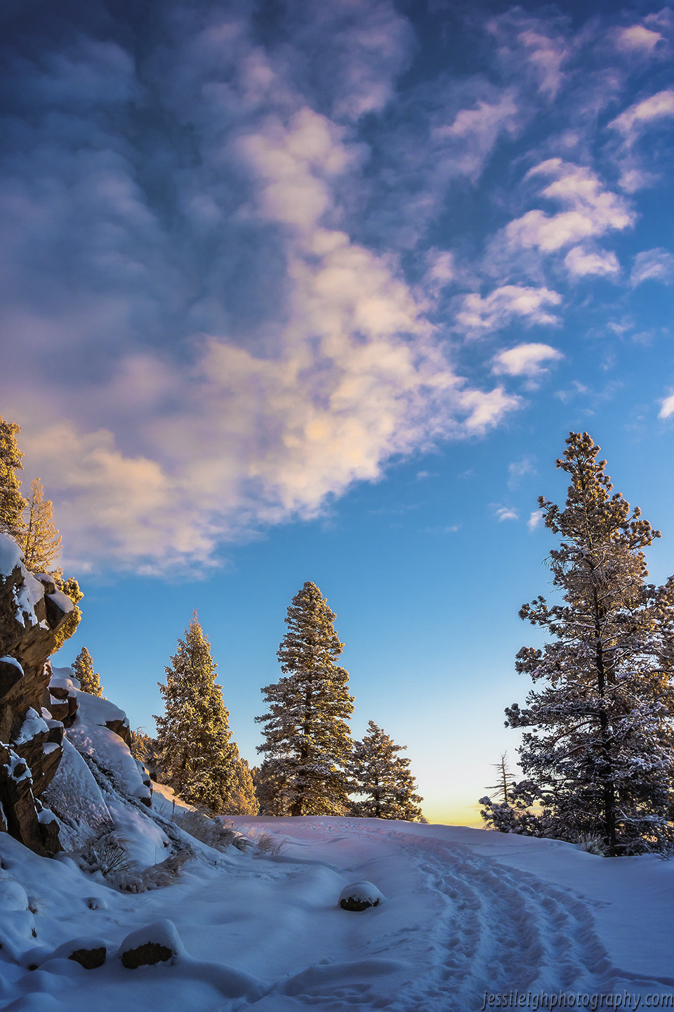 Sigma 10-20mm F3.5 EX DC HSM sample photo. Snowy road photography
