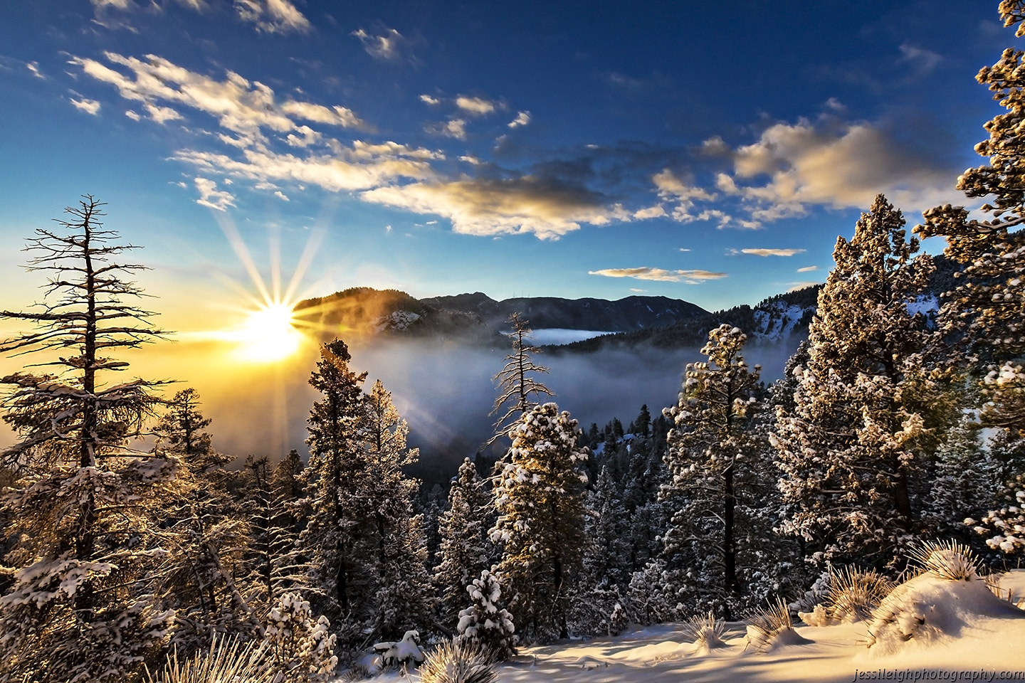 Sigma 10-20mm F3.5 EX DC HSM sample photo. Rise and shine photography
