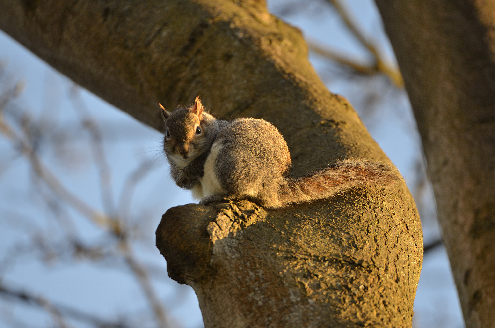 Tamron SP 70-200mm F2.8 Di VC USD sample photo. Look photography