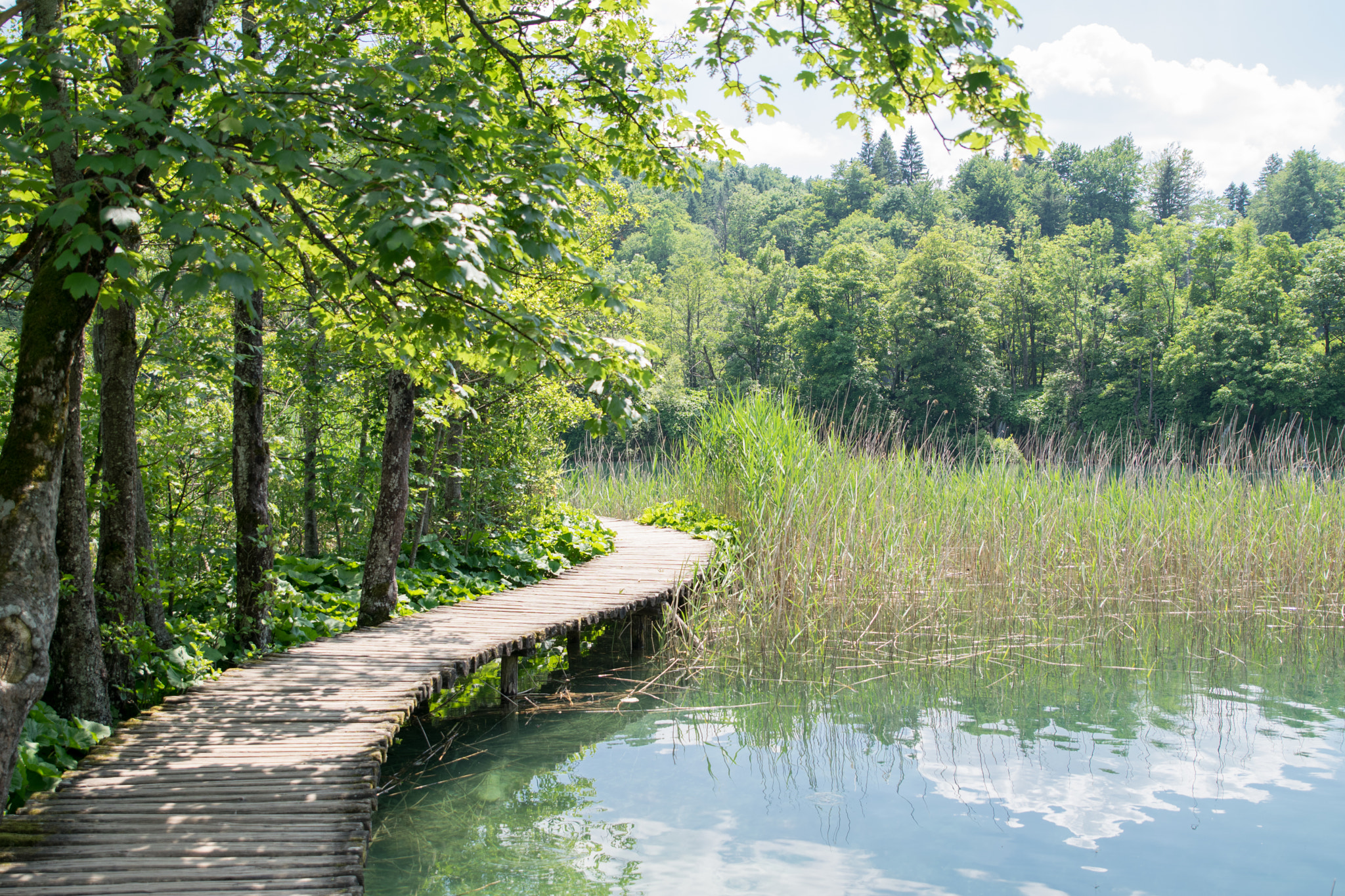 Tamron SP 24-70mm F2.8 Di VC USD sample photo. Harmonic path through plitvicer lakes photography