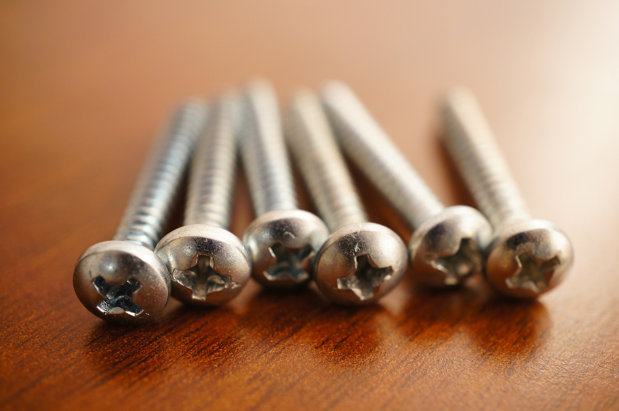 Sony Alpha NEX-5N + Sony E 30mm F3.5 Macro sample photo. Screws close-up photography