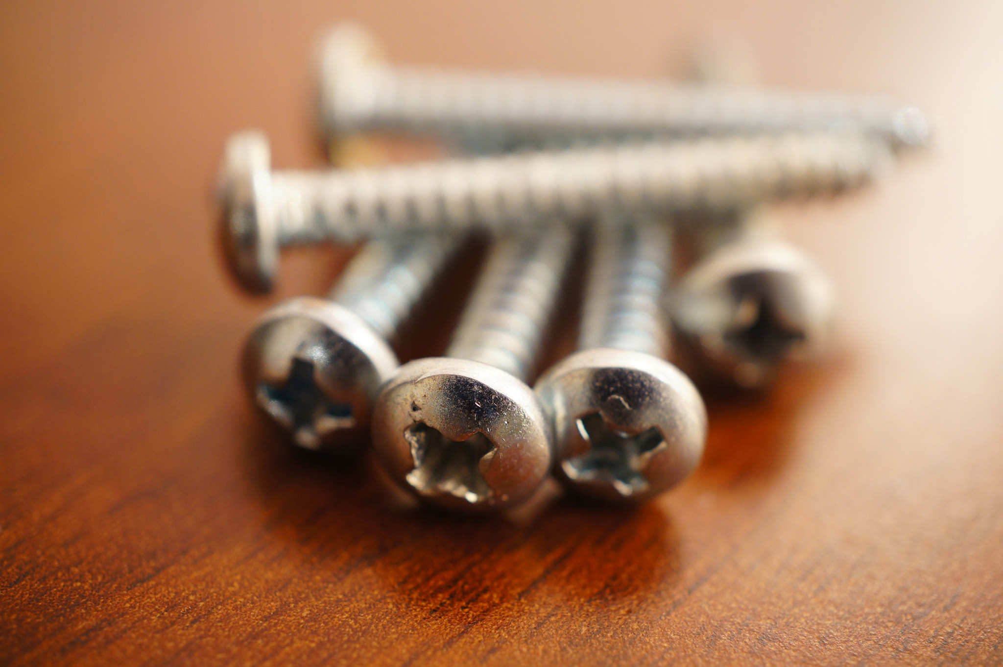 Sony Alpha NEX-5N + Sony E 30mm F3.5 Macro sample photo. Screws close-up photography