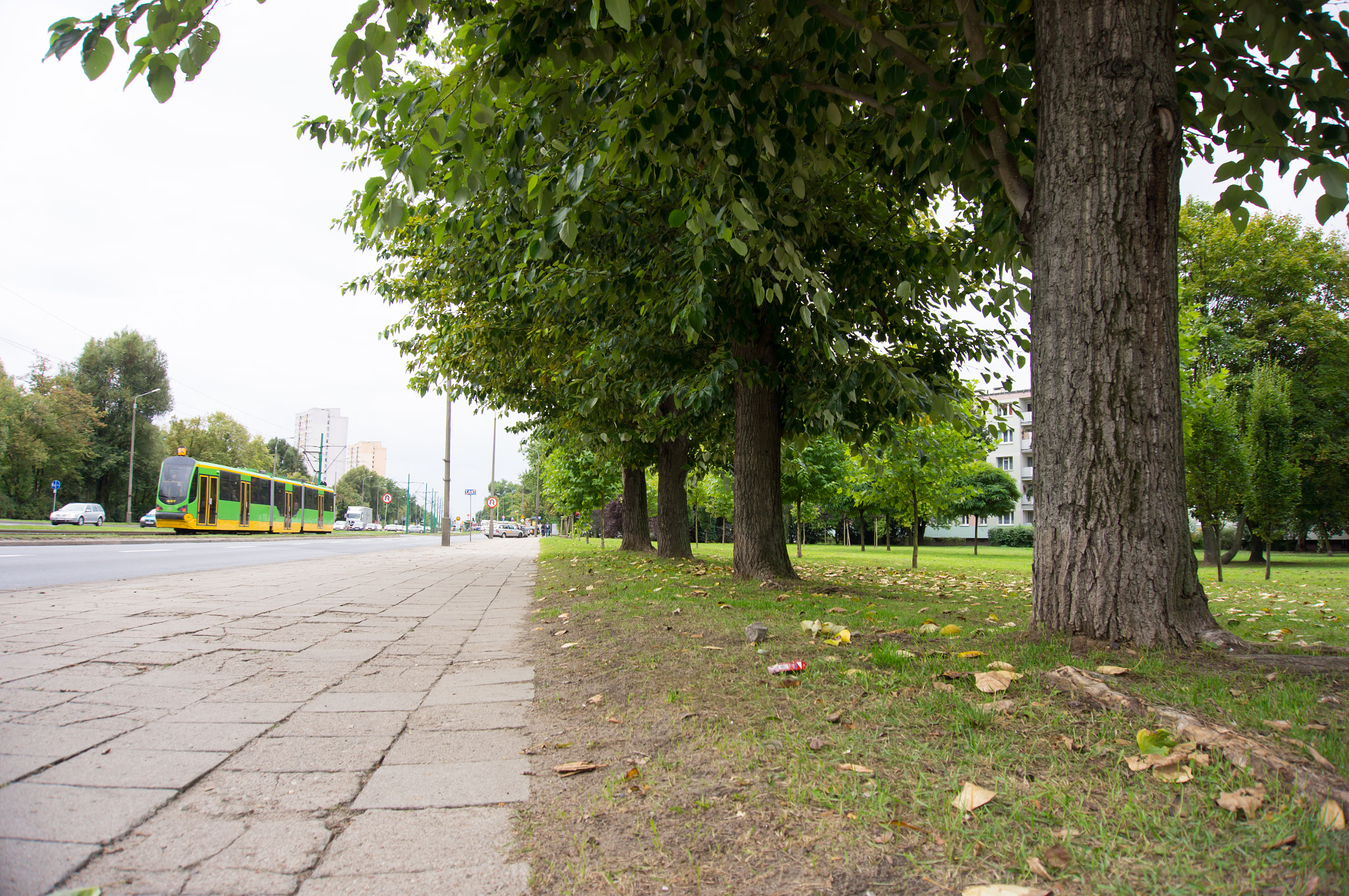 Sony E 16-50mm F3.5-5.6 PZ OSS sample photo. Sidewalk and a park photography