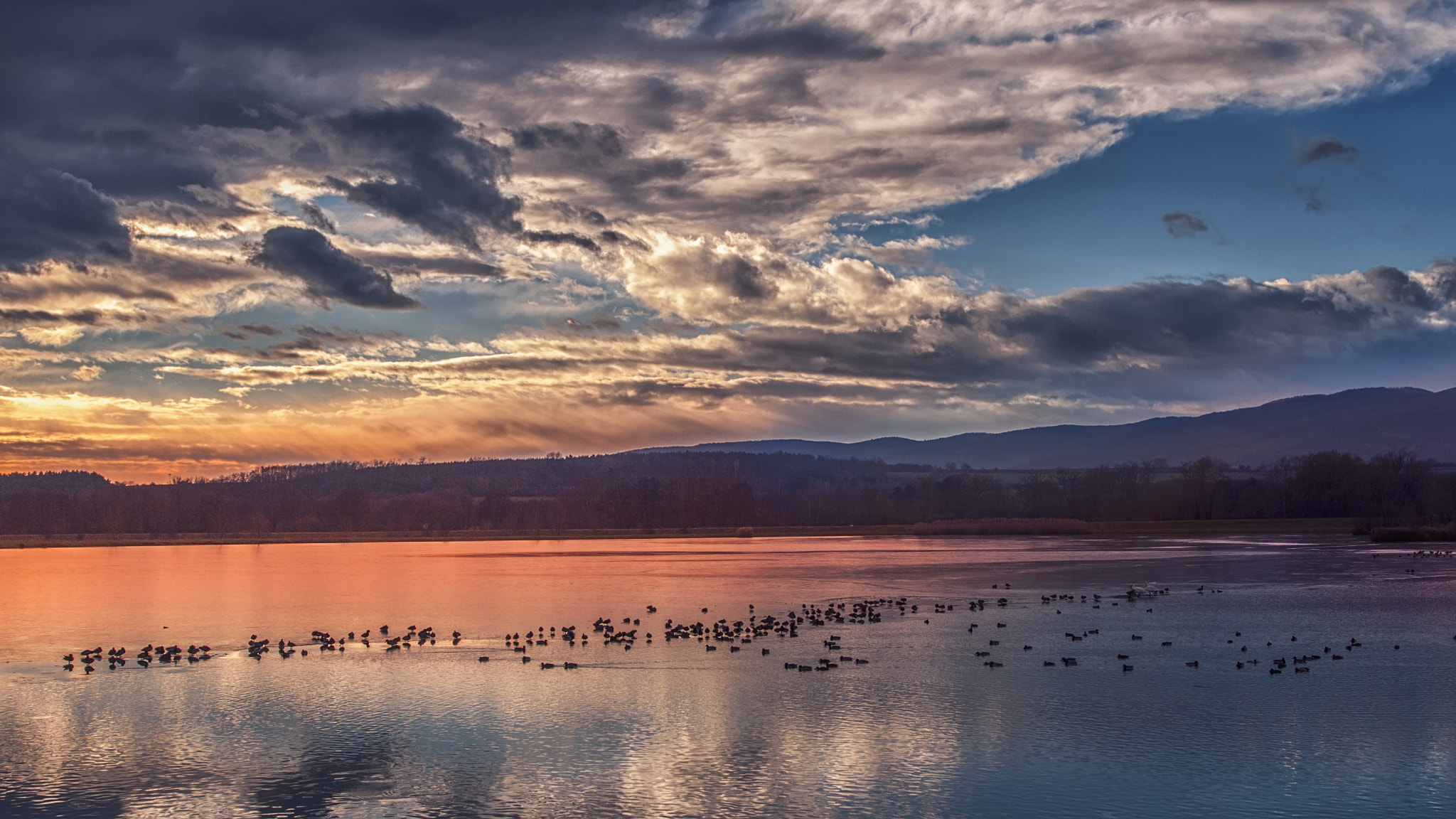 AF Zoom-Nikkor 28-80mm f/3.3-5.6G sample photo. Duck paradise photography