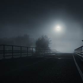 The crow by Mikko Lagerstedt