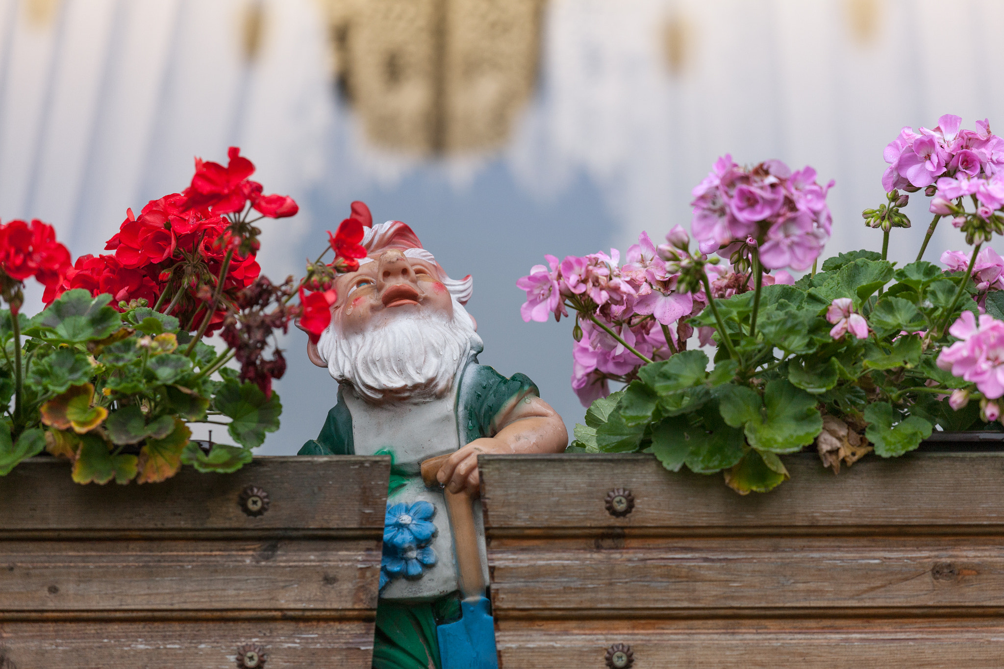 Canon EOS-1Ds Mark III + Canon EF 70-200mm F4L IS USM sample photo. Flower boxes and garden gnome photography