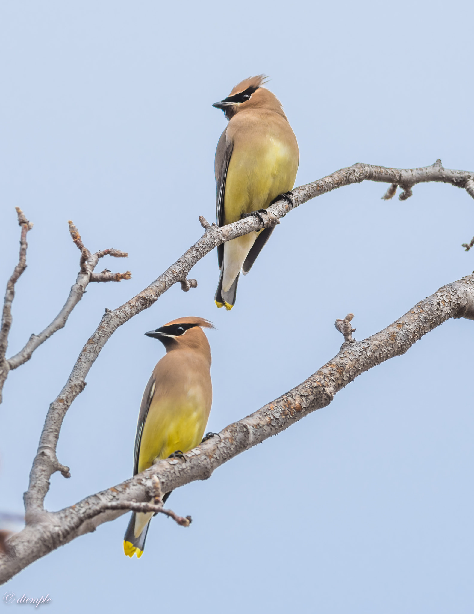 Nikon AF-S Nikkor 300mm F2.8G ED VR II sample photo. Dsc_5030.jpg photography