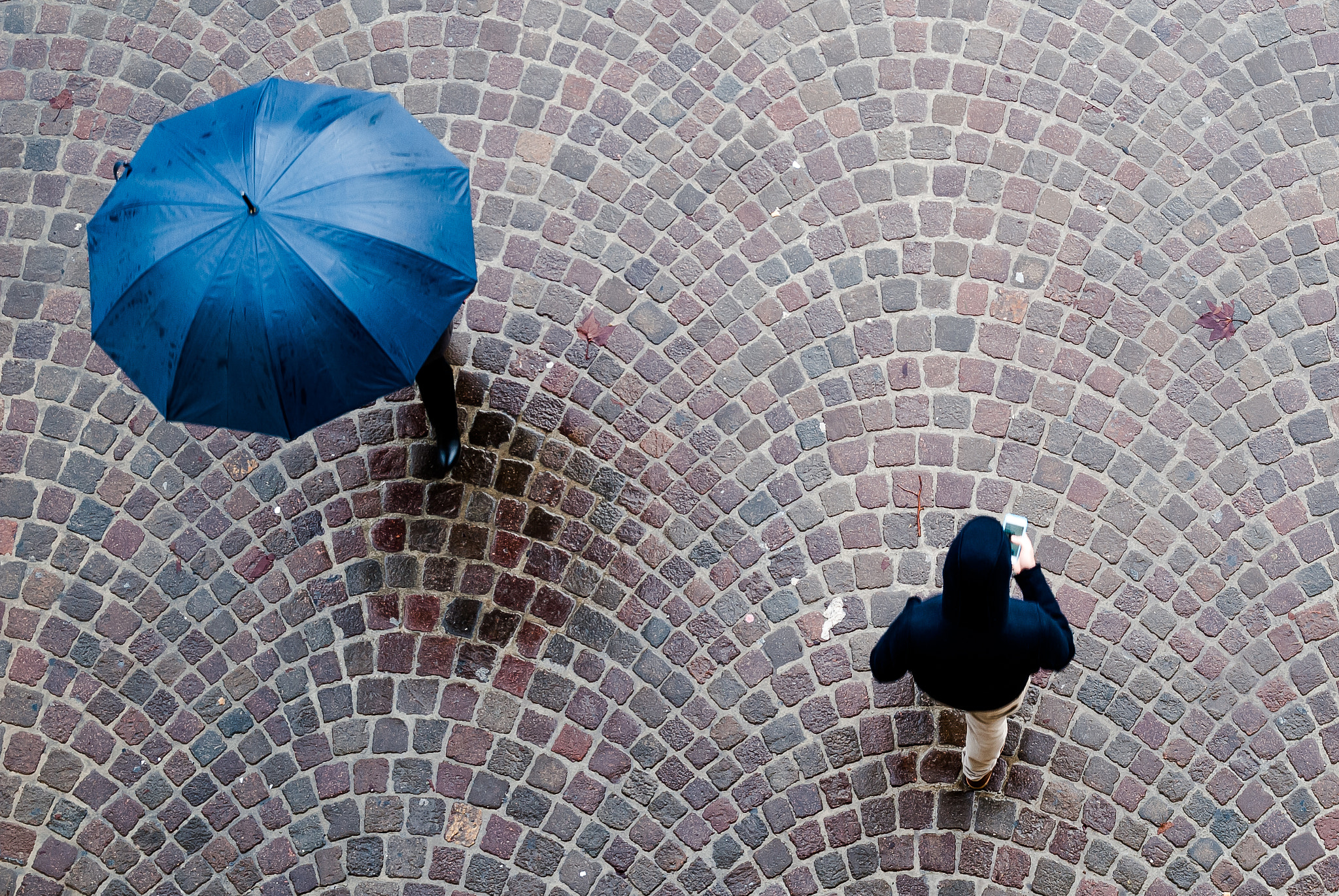 Sigma 17-70mm F2.8-4.5 DC Macro Asp. IF sample photo. It's raining again photography