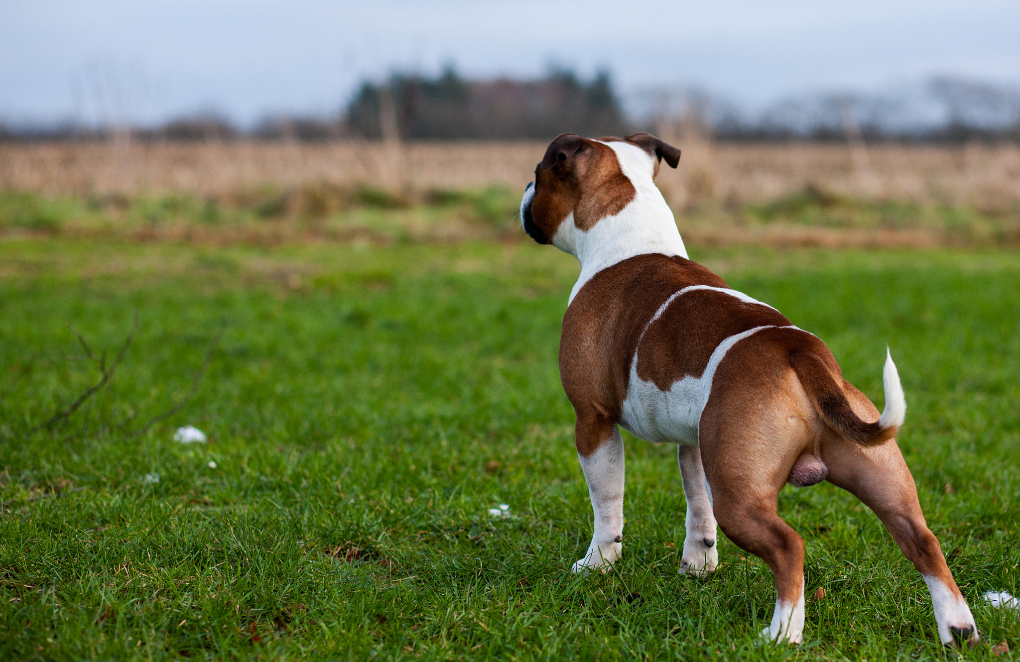 Canon EOS-1Ds Mark III sample photo. 5l0r4331.jpg photography