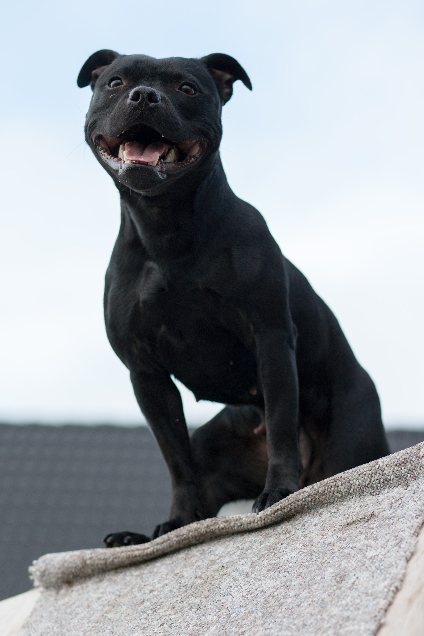 Canon EOS-1Ds Mark III sample photo. 5l0r4341.jpg photography