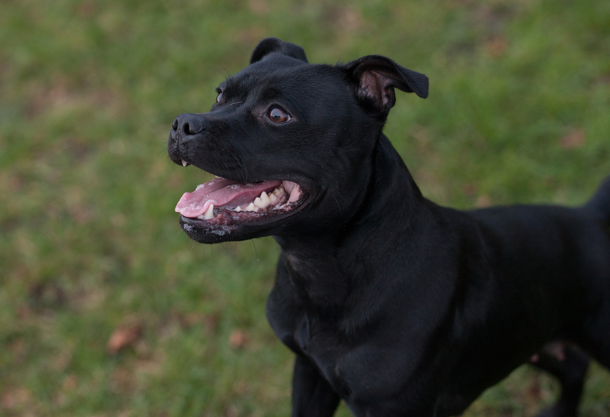 Canon EOS-1Ds Mark III sample photo. 5l0r4345.jpg photography
