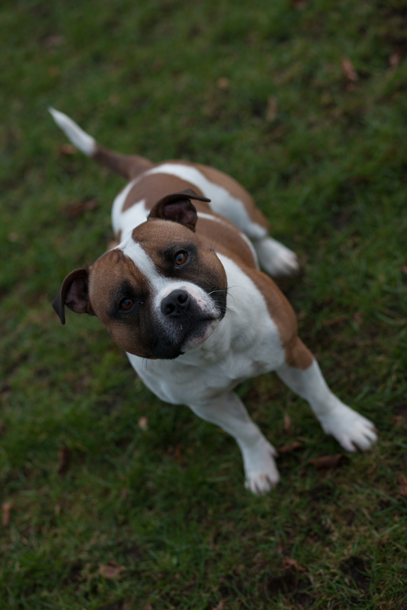 Canon EOS-1Ds Mark III sample photo. 5l0r4347.jpg photography