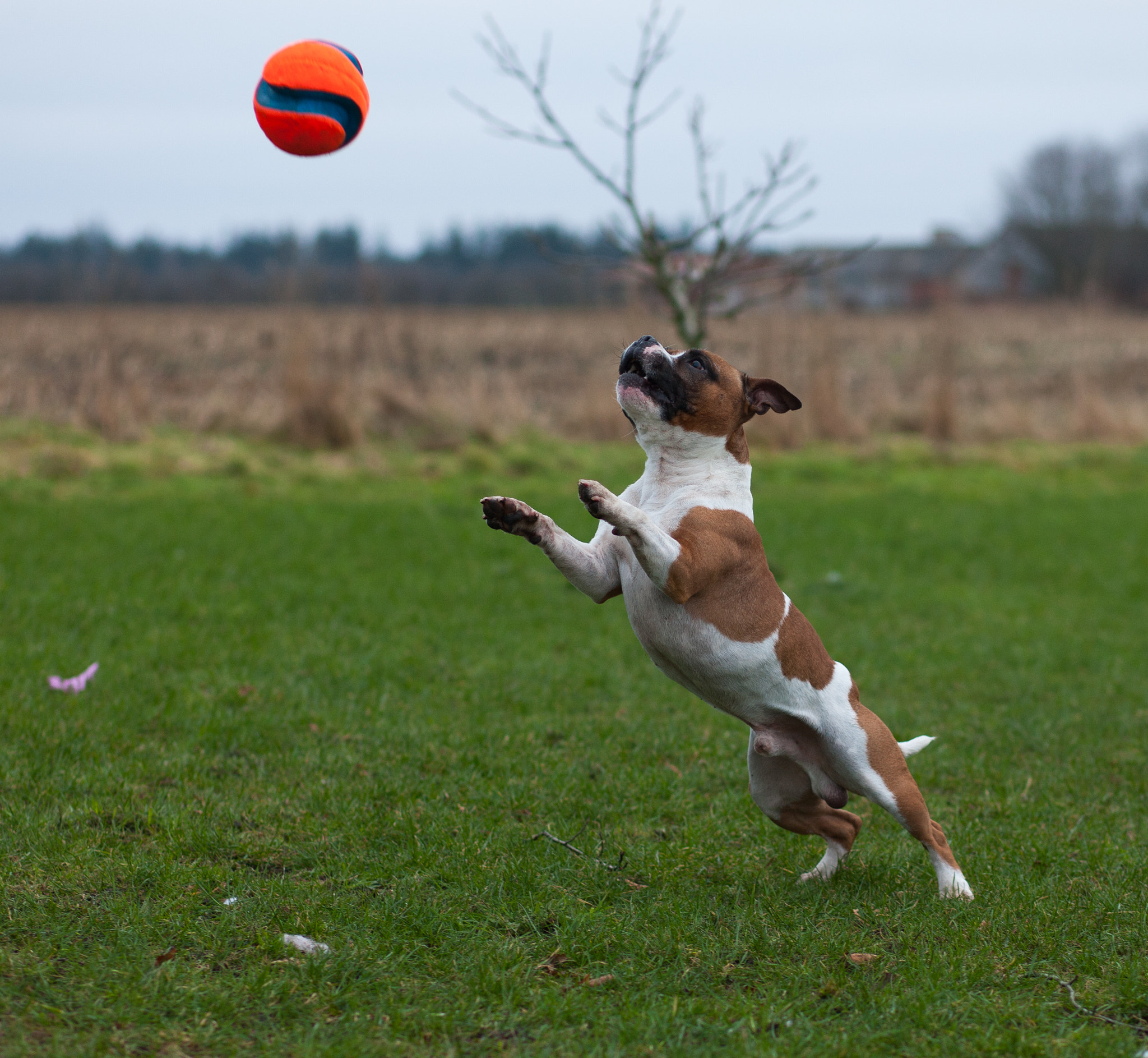 Canon EOS-1Ds Mark III sample photo. 5l0r4371.jpg photography