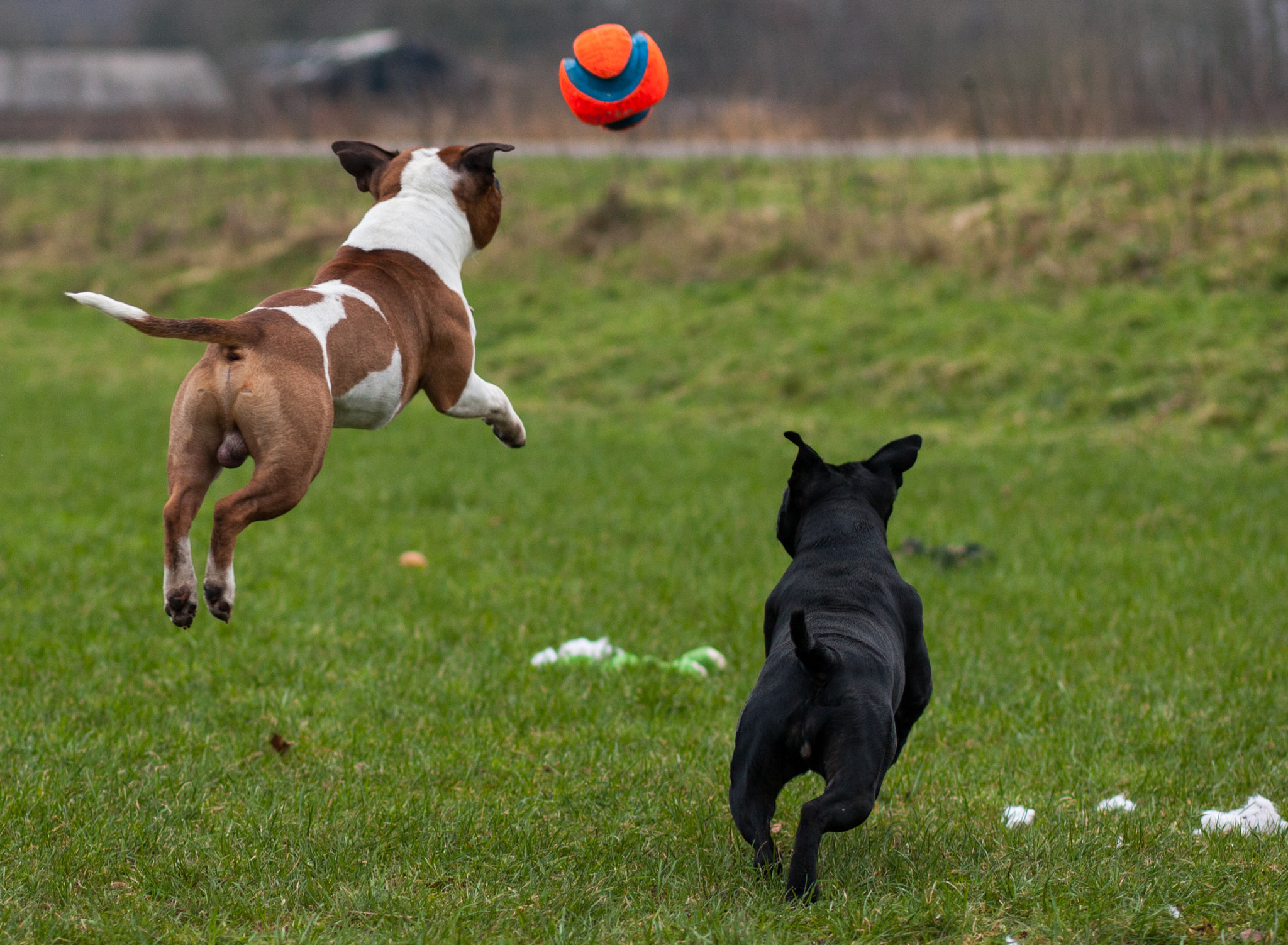 Canon EOS-1Ds Mark III sample photo. 5l0r4382.jpg photography