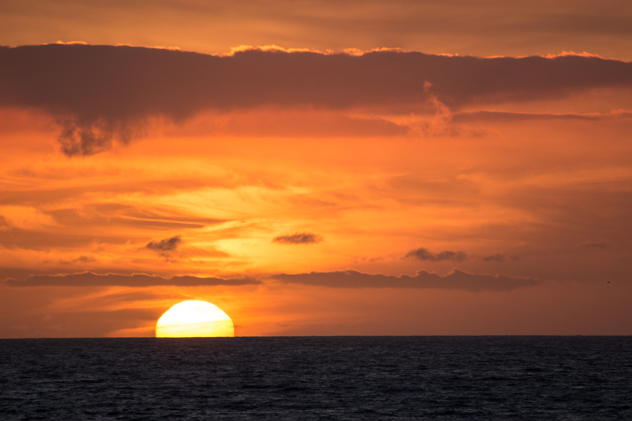 Canon EOS 100D (EOS Rebel SL1 / EOS Kiss X7) sample photo. Santa monica sunset photography
