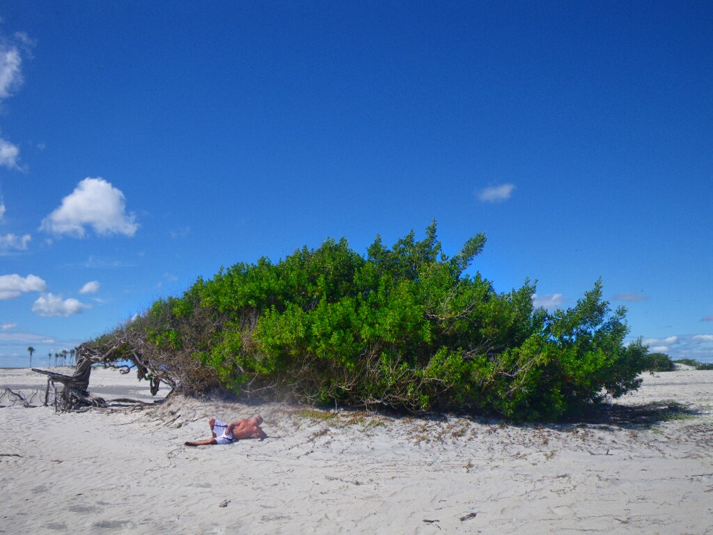Pentax Optio W60 sample photo. Jericoacoara brazil photography